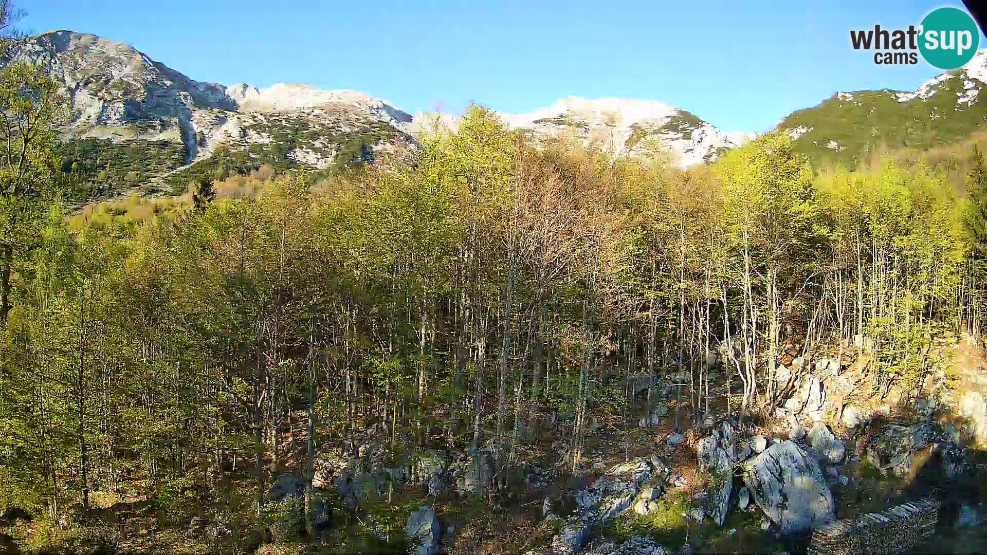Webcam PLANINA RAZOR (1315) | Blick auf Vogel und Globoko