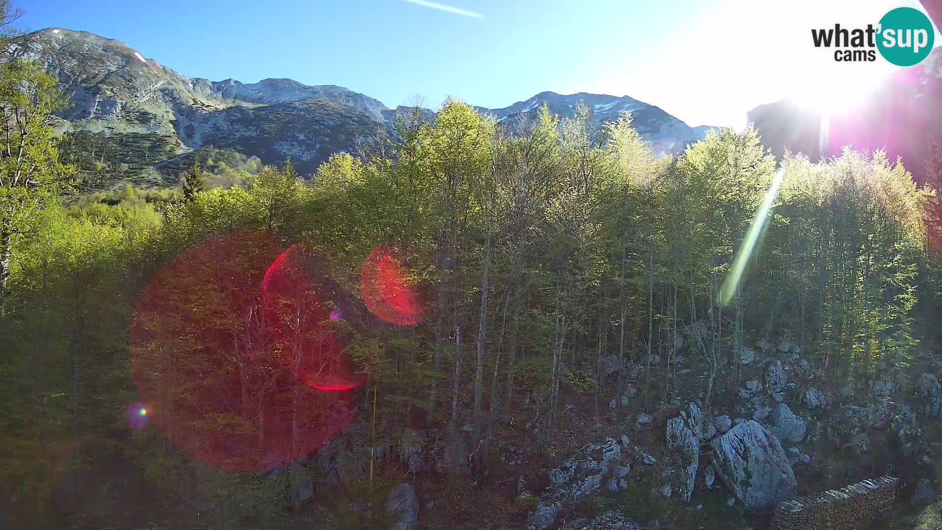 PLANINA RAZOR webcam (1315) | view to Vogel and Globoko