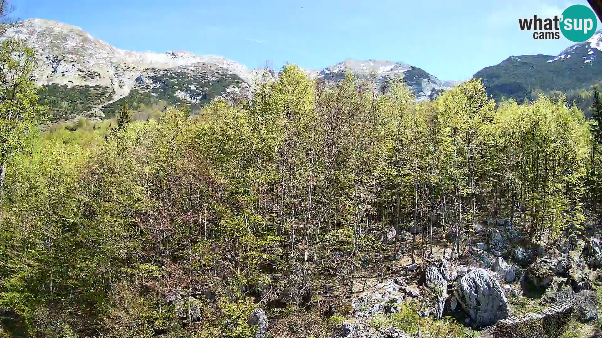 PLANINA RAZOR web kamera (1315) | pogled na Vogel i Globoko