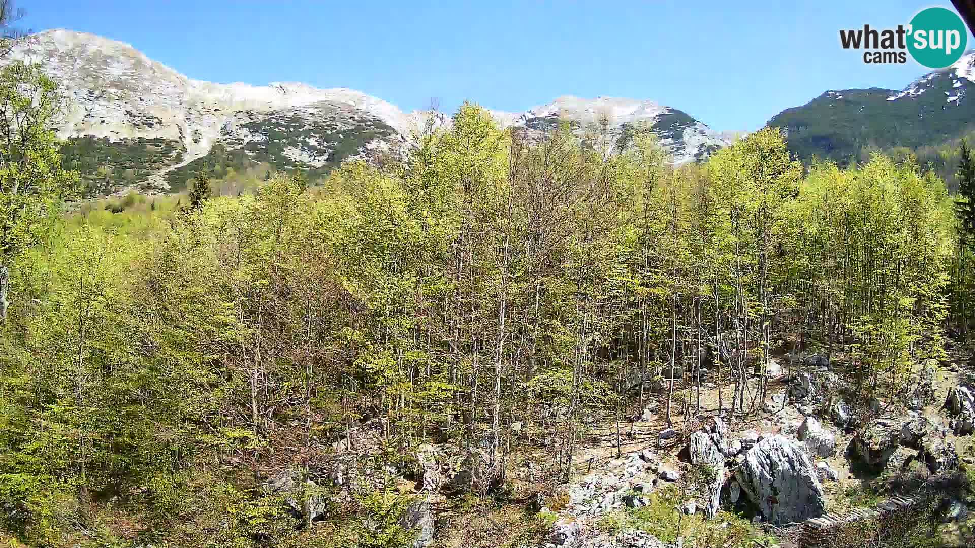 Cámara web PLANINA RAZOR (1315) | vista a Vogel y Globoko