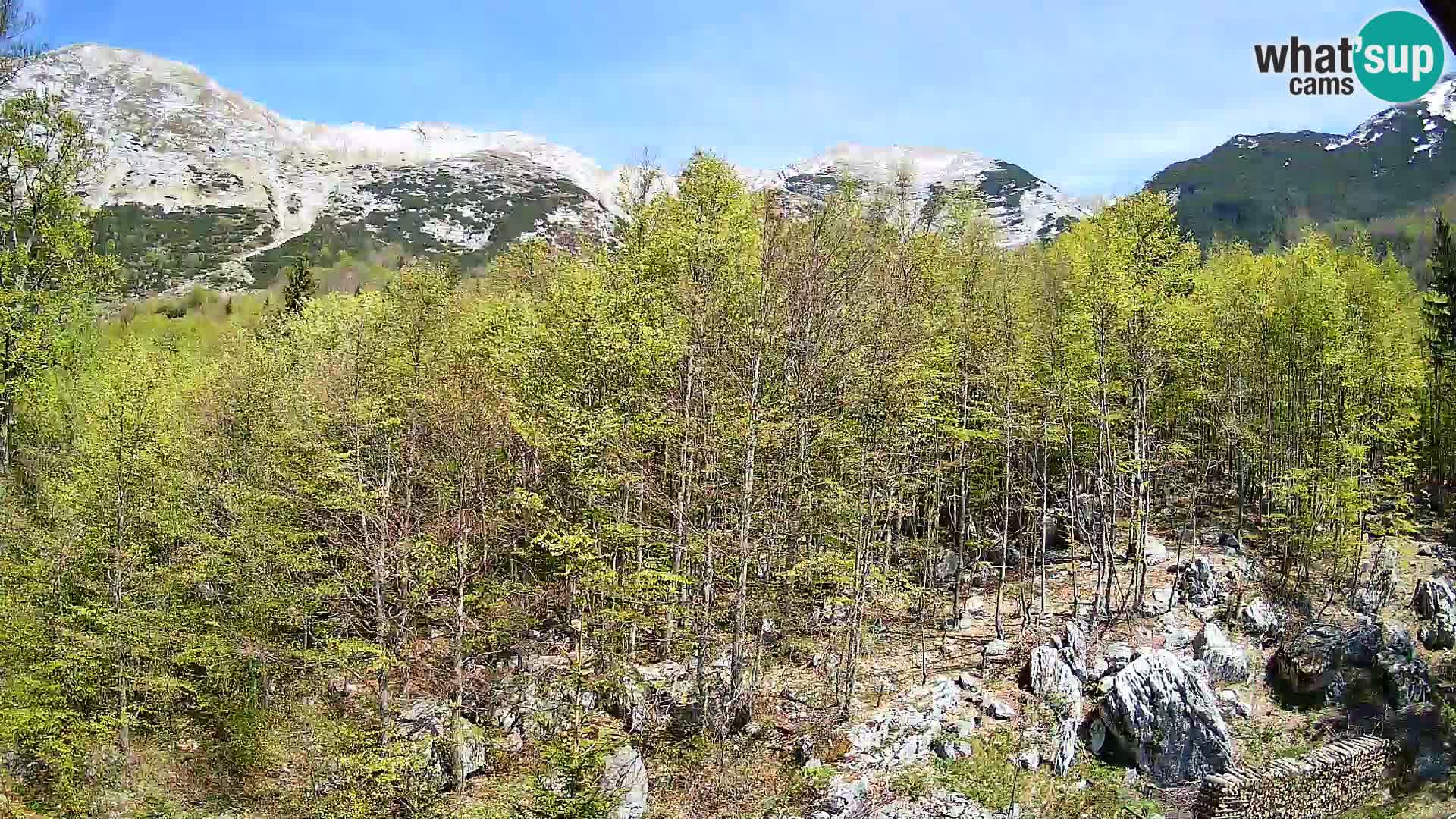 PLANINA RAZOR webcam (1315) | view to Vogel and Globoko