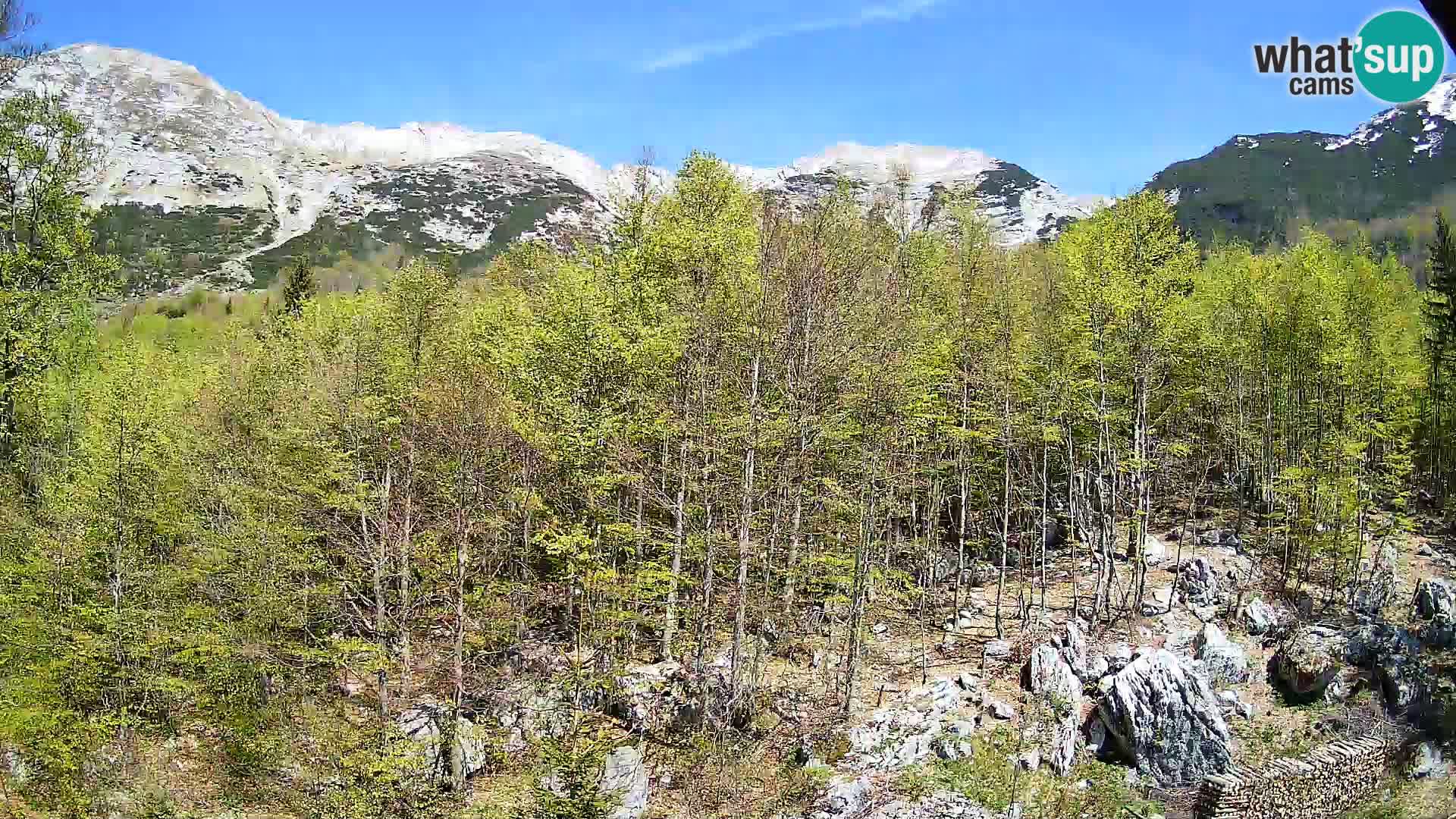 PLANINA RAZOR webcam (1315) | view to Vogel and Globoko