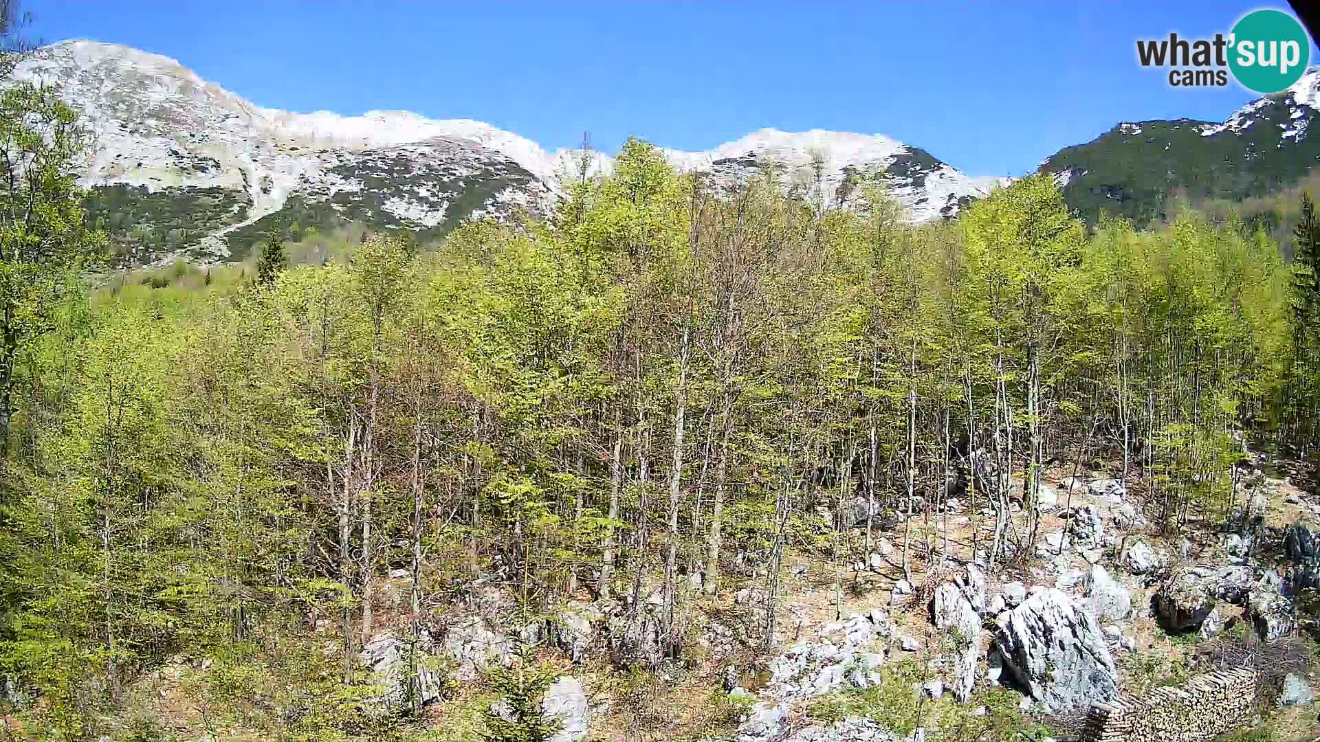 PLANINA RAZOR webcam (1315) | view to Vogel and Globoko