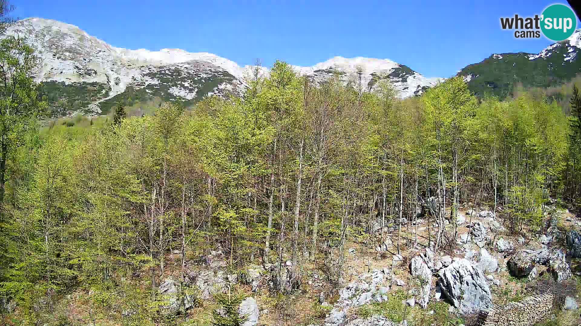 PLANINA RAZOR webcam (1315) | view to Vogel and Globoko