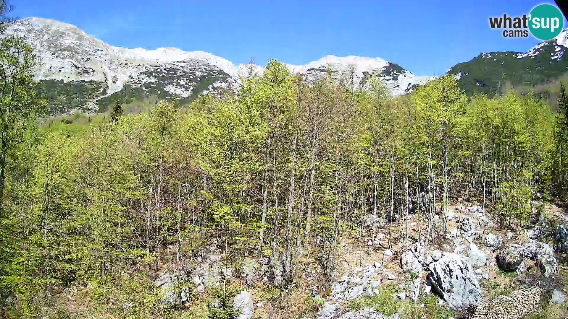 PLANINA RAZOR webcam (1315) | view to Vogel and Globoko