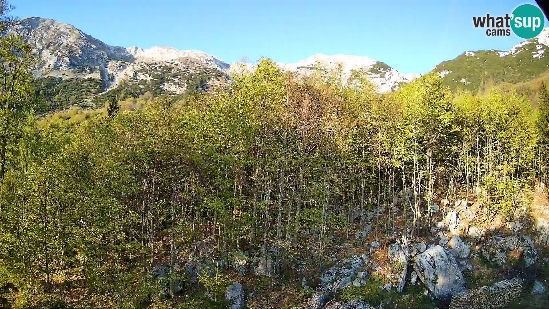 PLANINA RAZOR webcam (1315) | view to Vogel and Globoko
