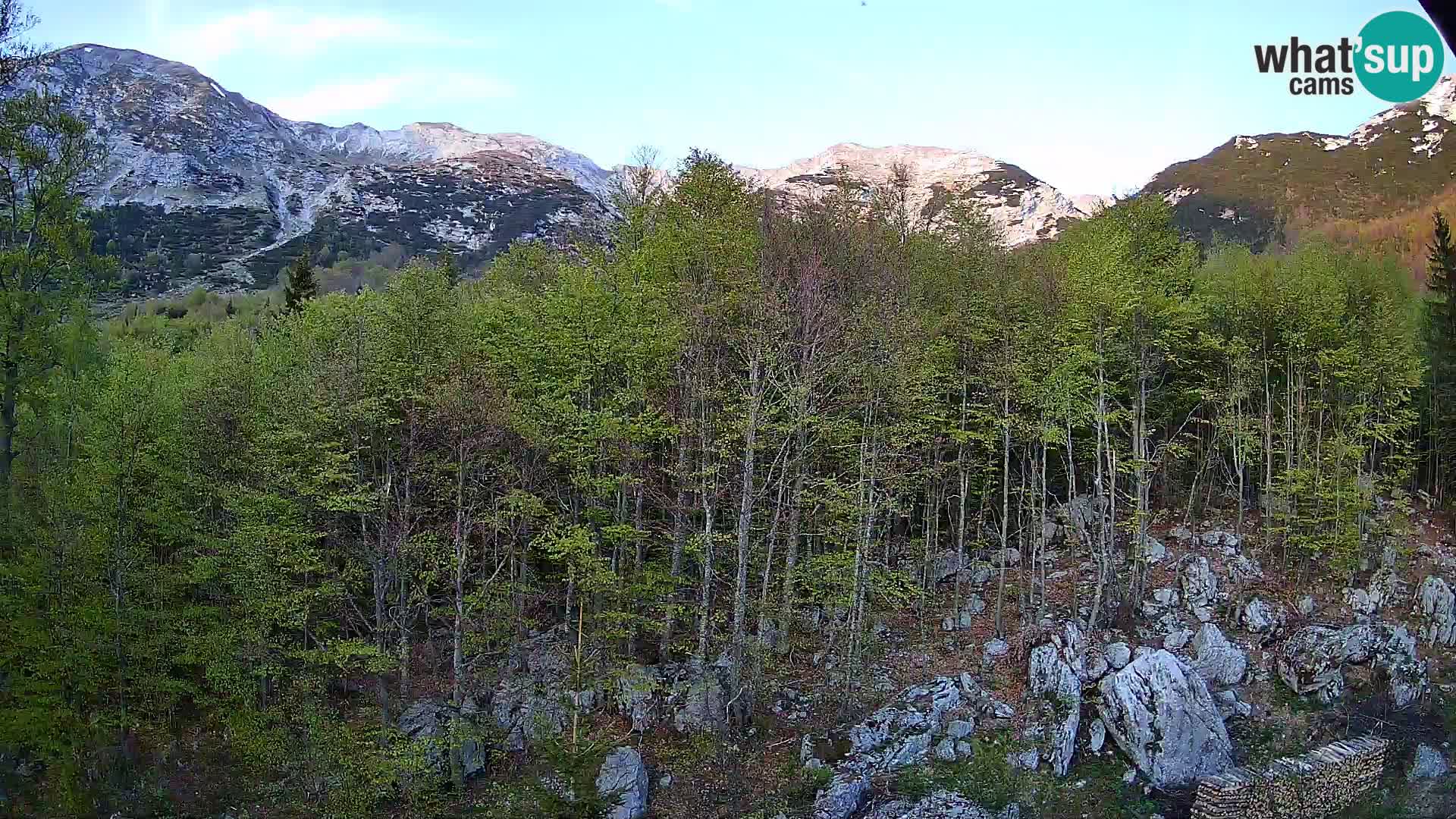 PLANINA RAZOR webcam (1315) | view to Vogel and Globoko