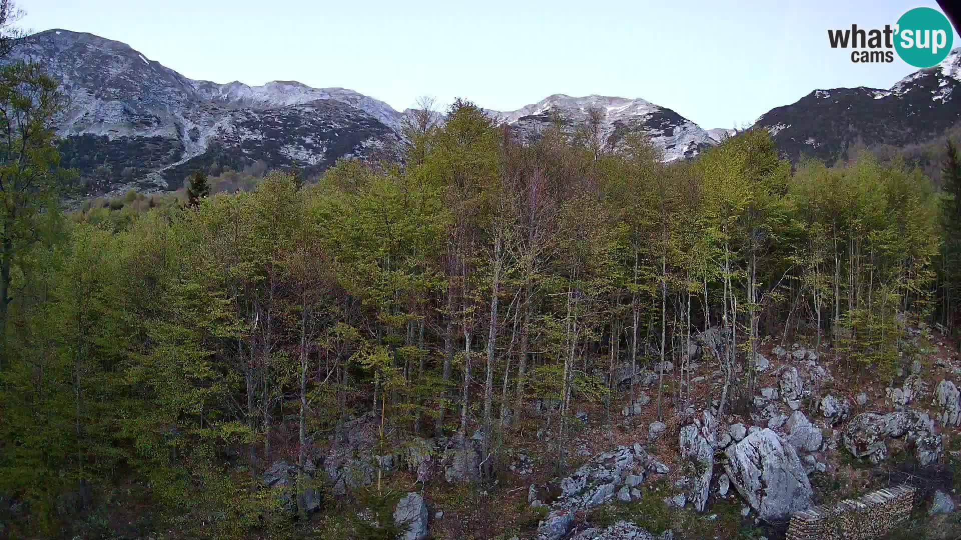 PLANINA RAZOR webcam (1315) | view to Vogel and Globoko