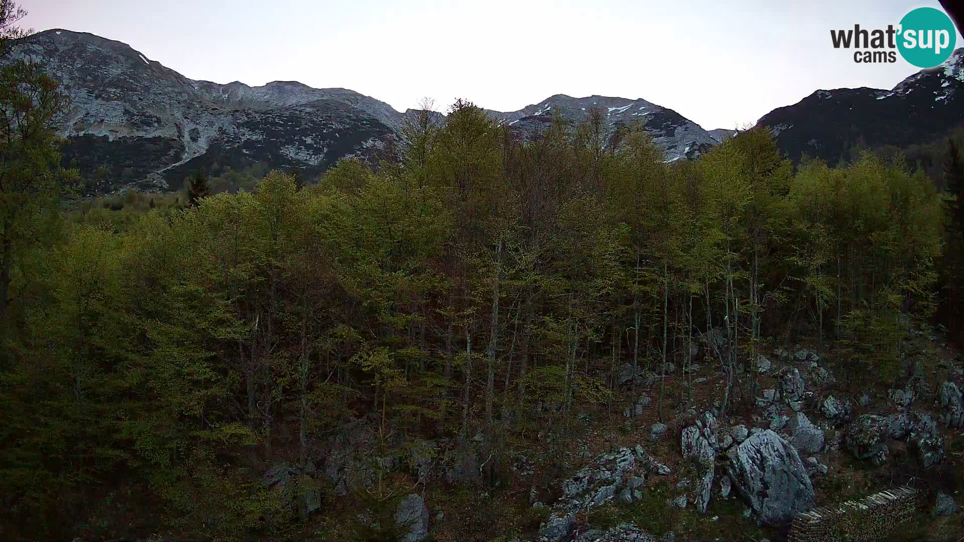 PLANINA RAZOR webcam (1315) | view to Vogel and Globoko