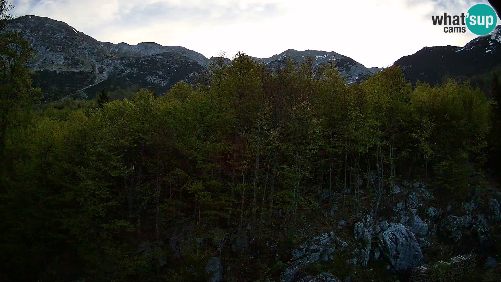 PLANINA RAZOR webcam (1315) | view to Vogel and Globoko