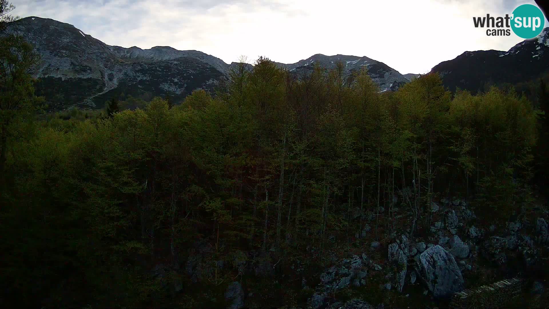 PLANINA RAZOR webcam (1315) | view to Vogel and Globoko