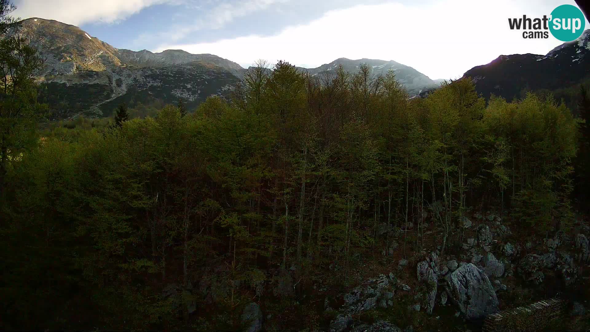 PLANINA RAZOR webcam (1315) | view to Vogel and Globoko