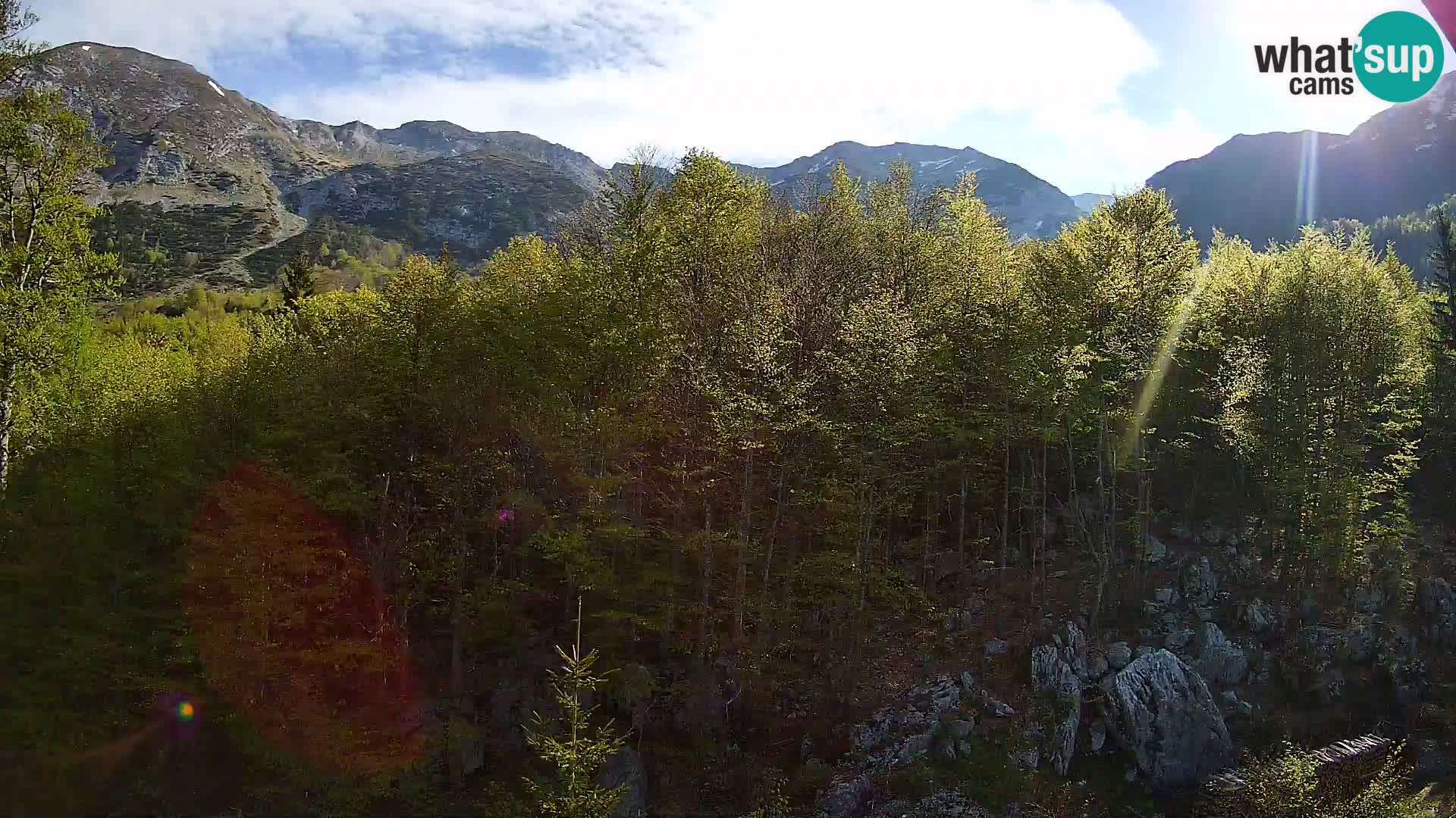 PLANINA RAZOR Live Cam (1315) | vista su Vogel e Globoko