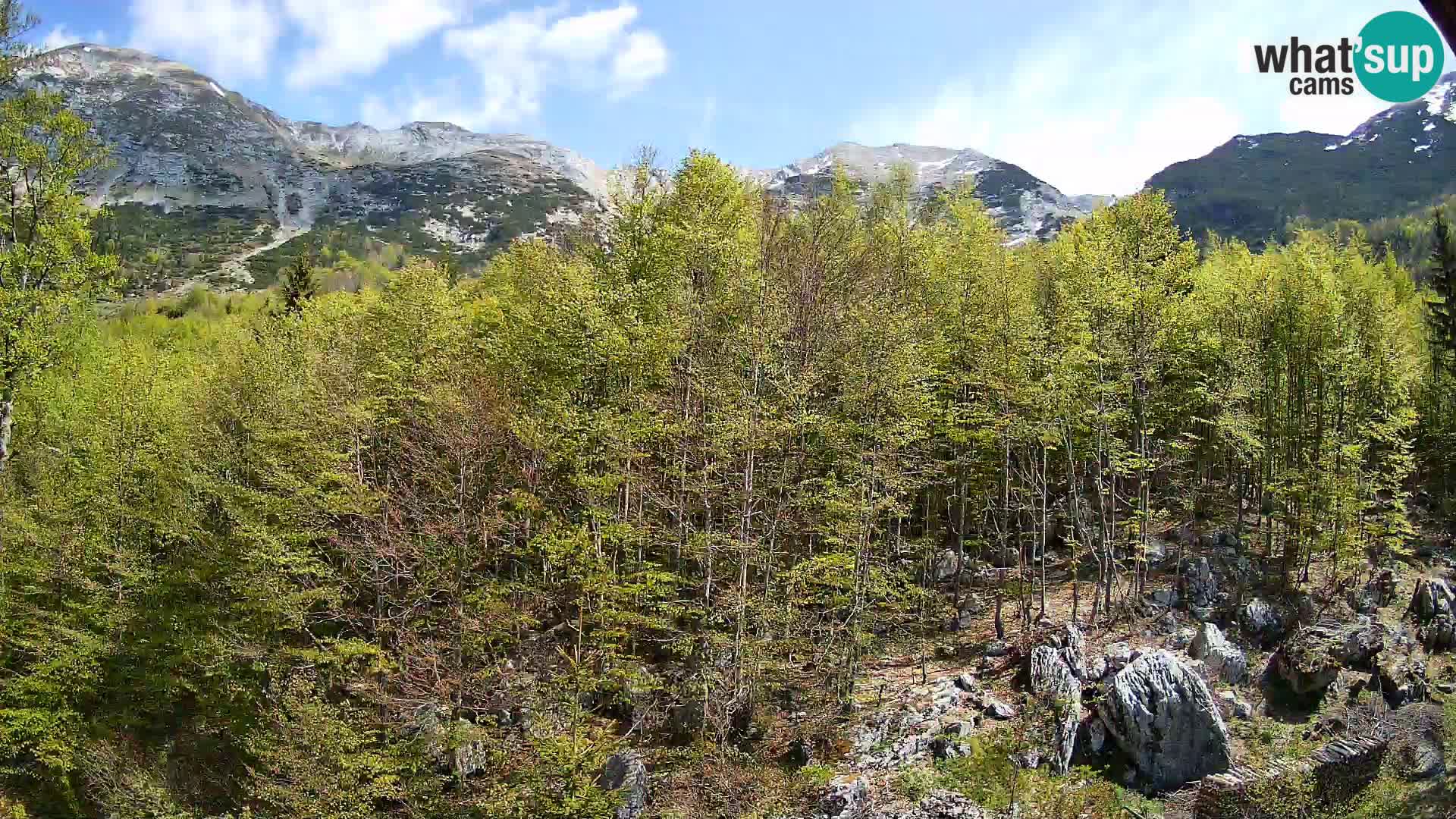 PLANINA RAZOR web kamera (1315) | pogled na Vogel i Globoko