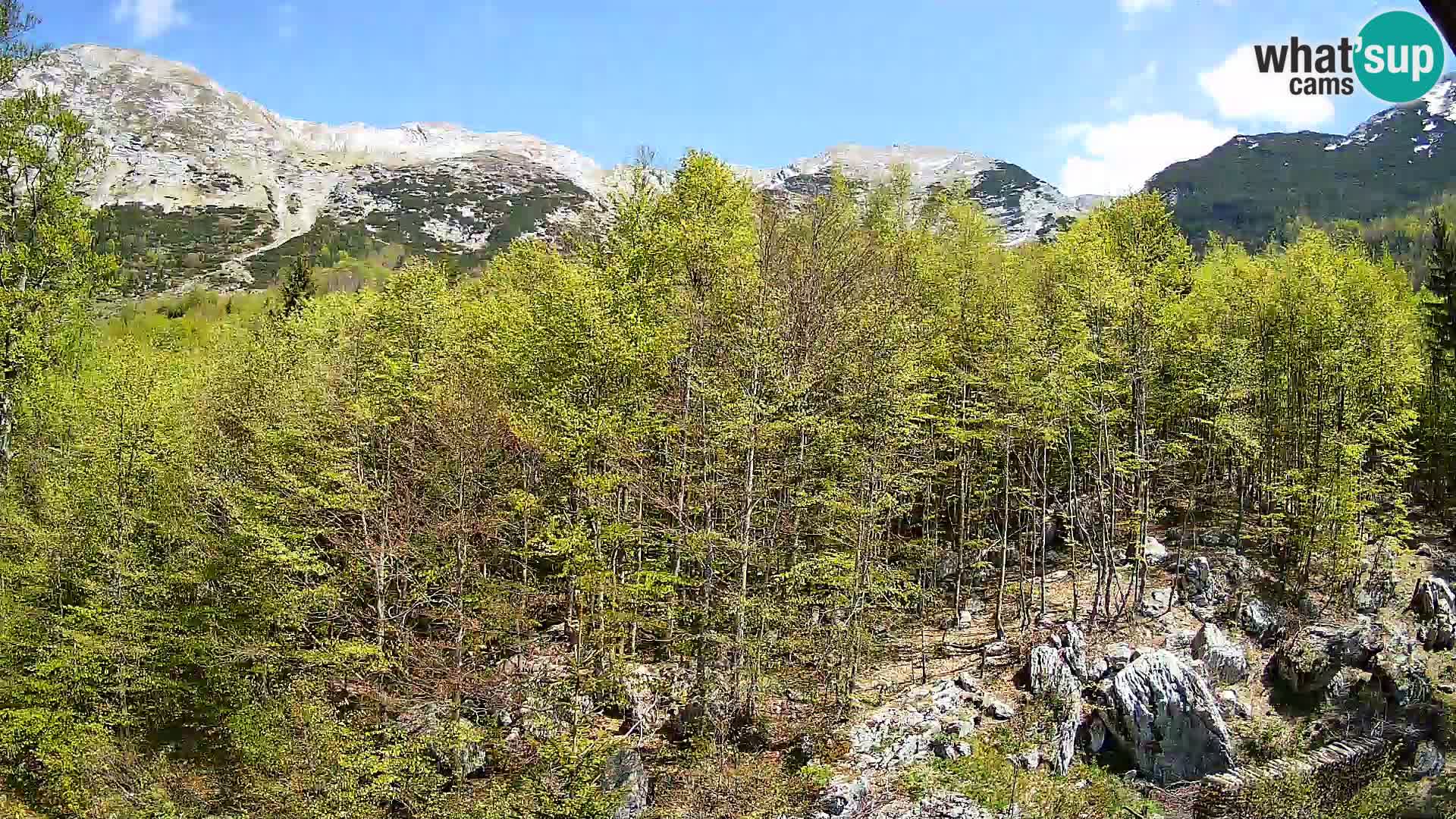 PLANINA RAZOR web kamera (1315) | pogled na Vogel i Globoko