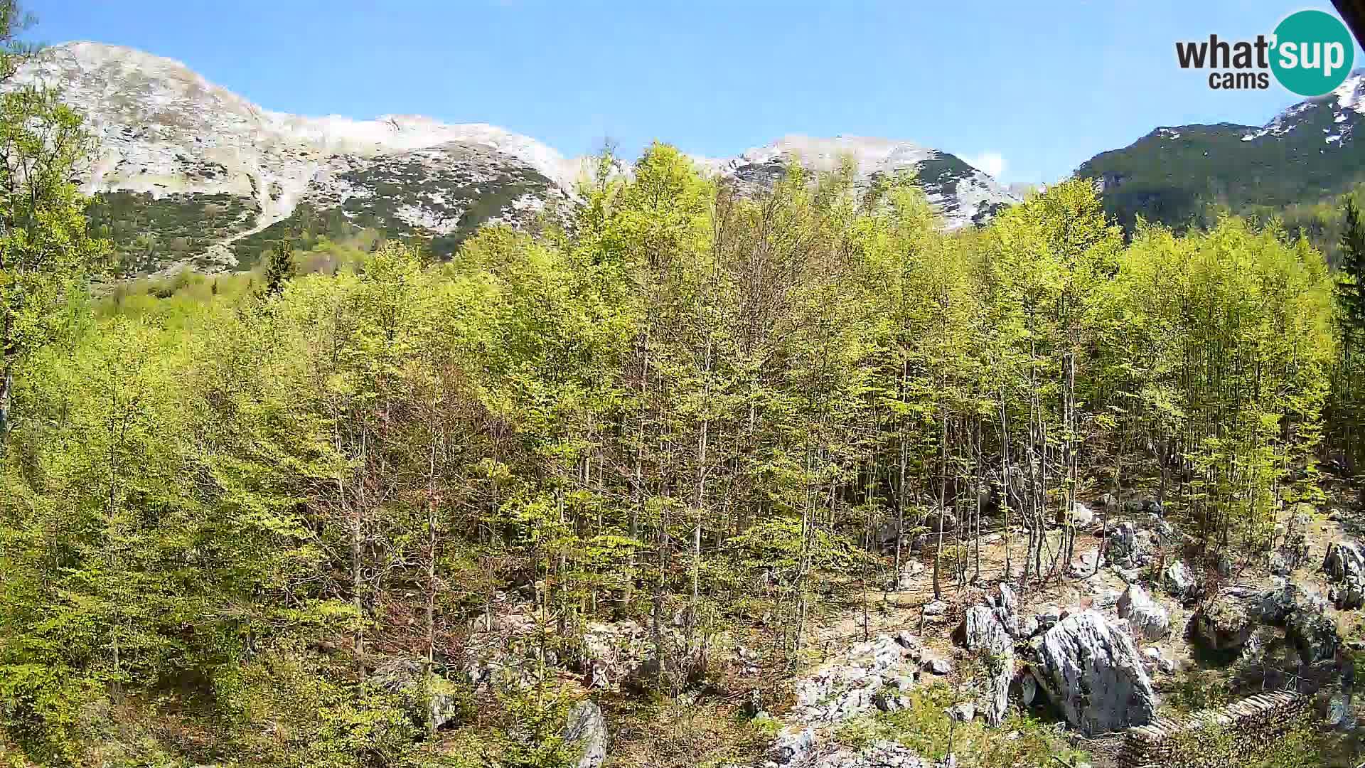 PLANINA RAZOR webcam (1315) | view to Vogel and Globoko