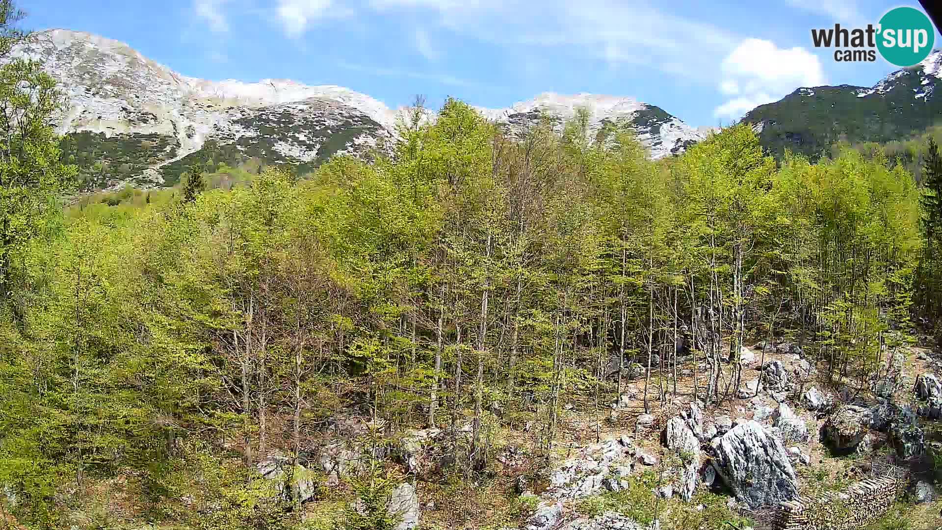 PLANINA RAZOR web kamera (1315) | pogled na Vogel i Globoko