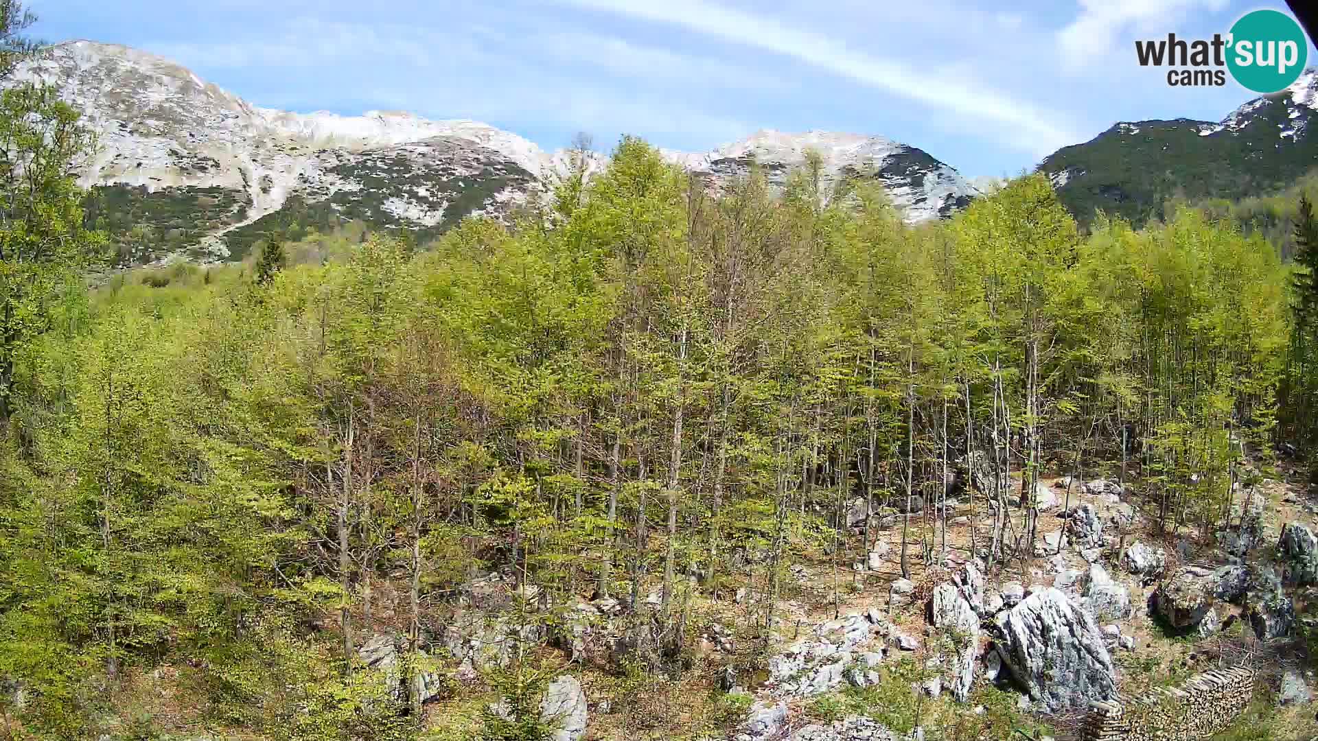 PLANINA RAZOR webcam (1315) | view to Vogel and Globoko