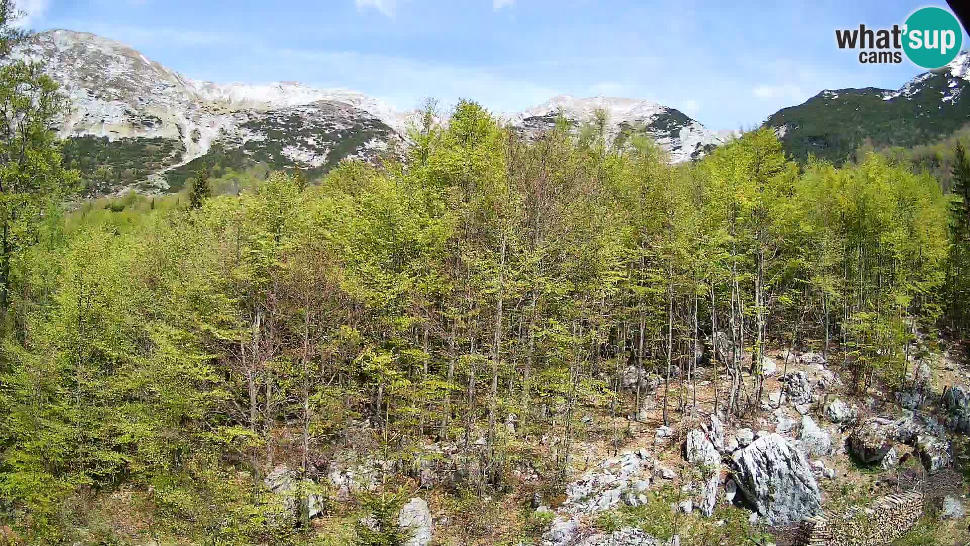 PLANINA RAZOR web kamera (1315) | pogled na Vogel i Globoko