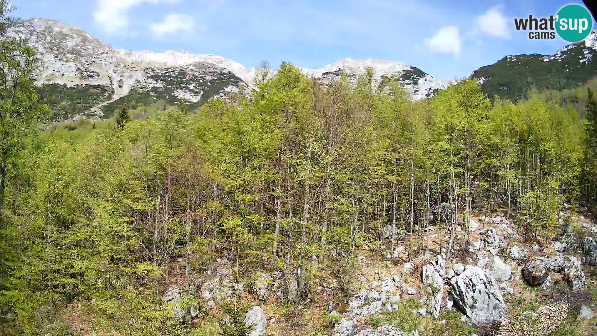 PLANINA RAZOR Live Cam (1315) | vista su Vogel e Globoko