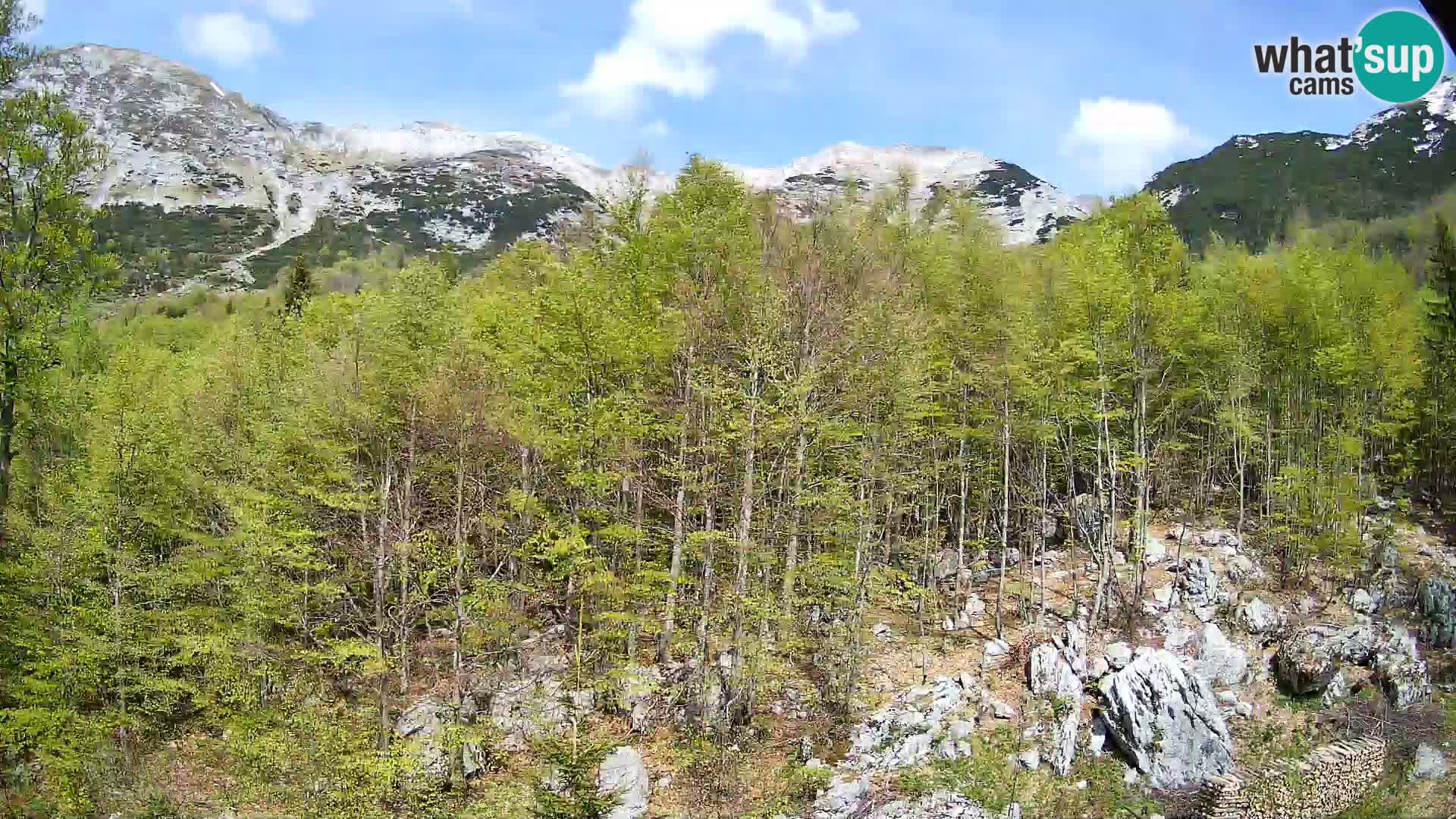 PLANINA RAZOR web kamera (1315) | pogled na Vogel i Globoko