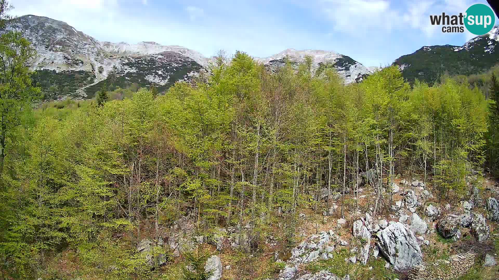 Cámara web PLANINA RAZOR (1315) | vista a Vogel y Globoko