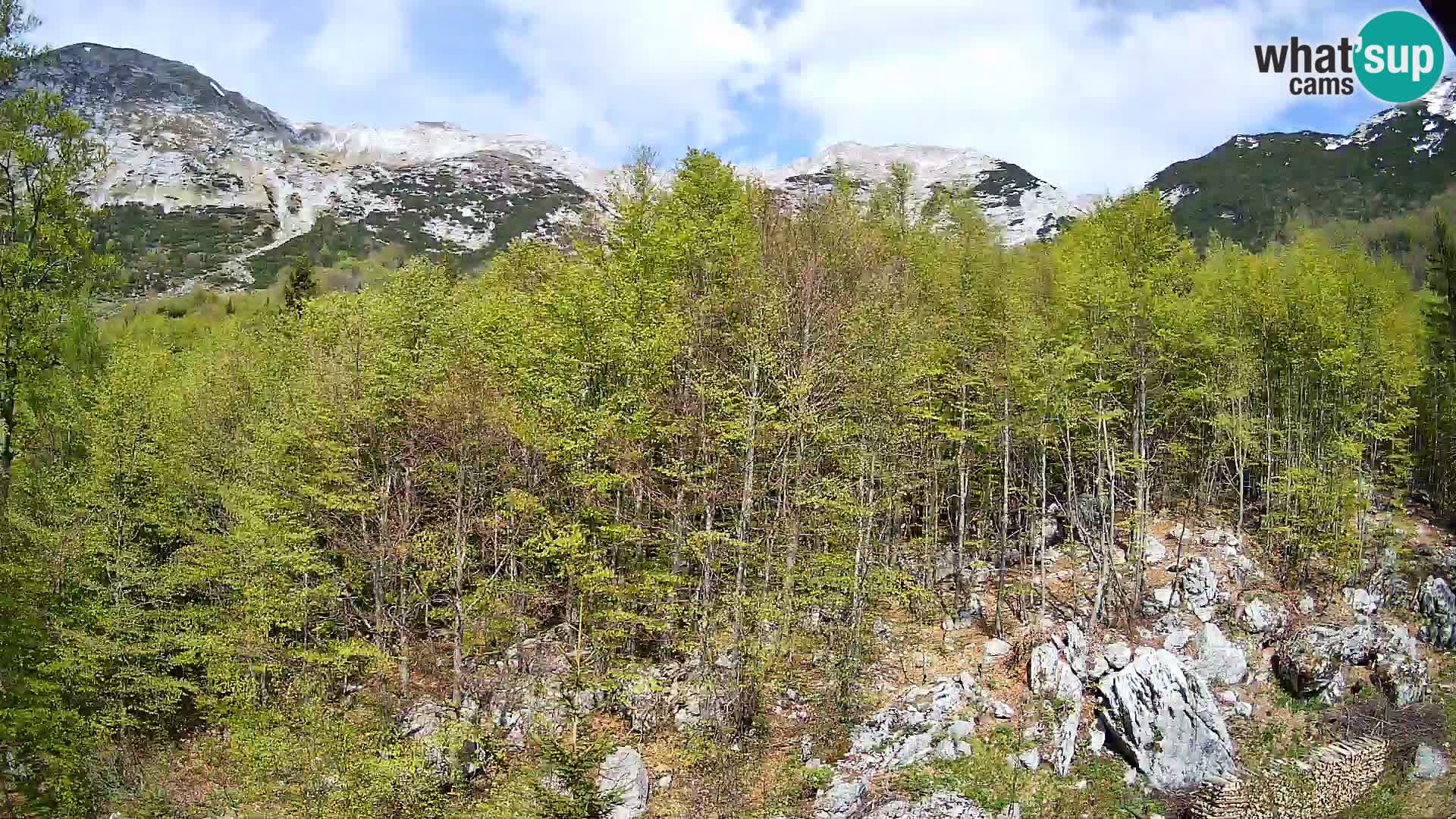 PLANINA RAZOR webcam (1315) | view to Vogel and Globoko