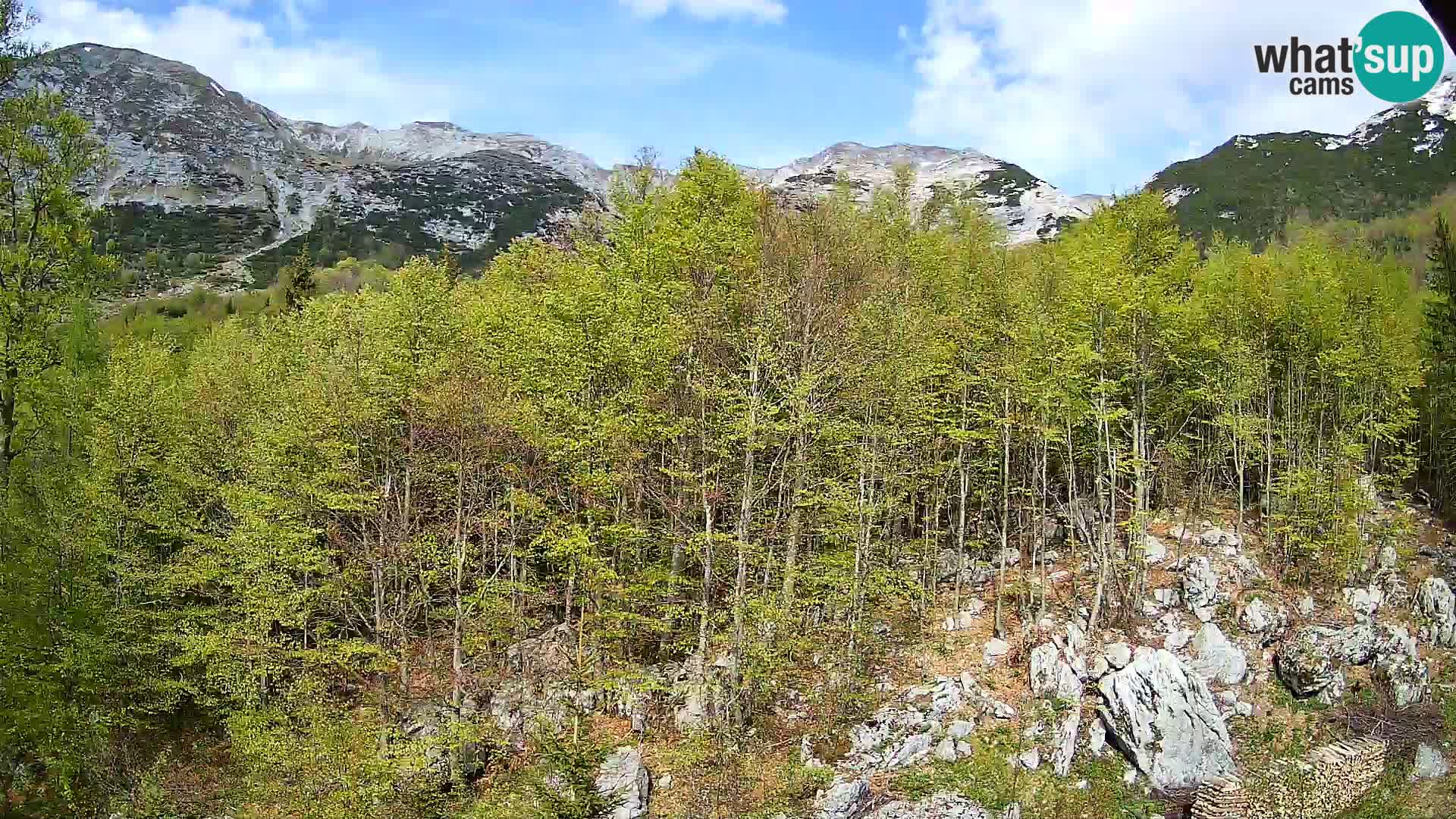 PLANINA RAZOR web kamera (1315) | pogled na Vogel i Globoko