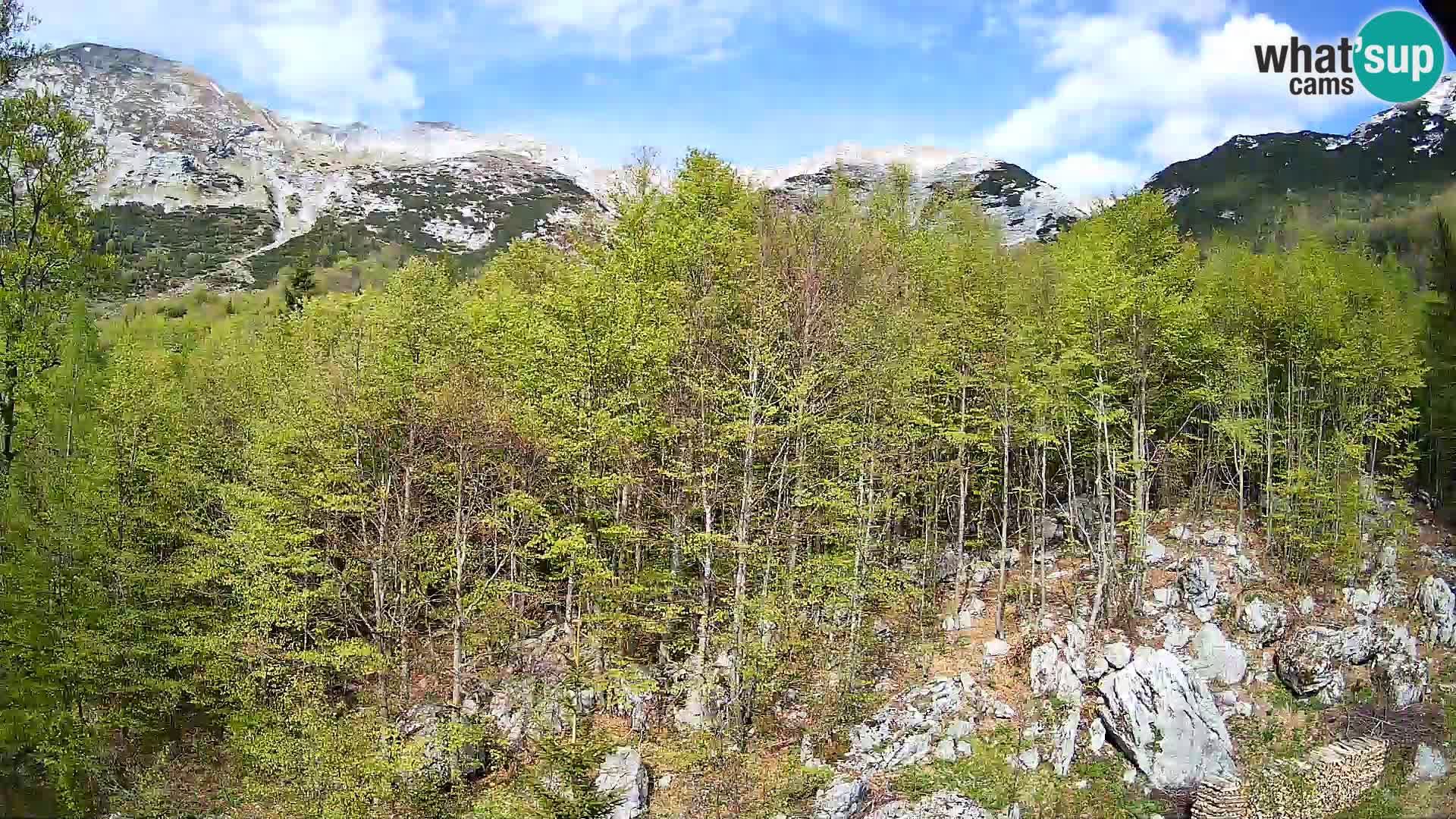 PLANINA RAZOR webcam (1315) | view to Vogel and Globoko