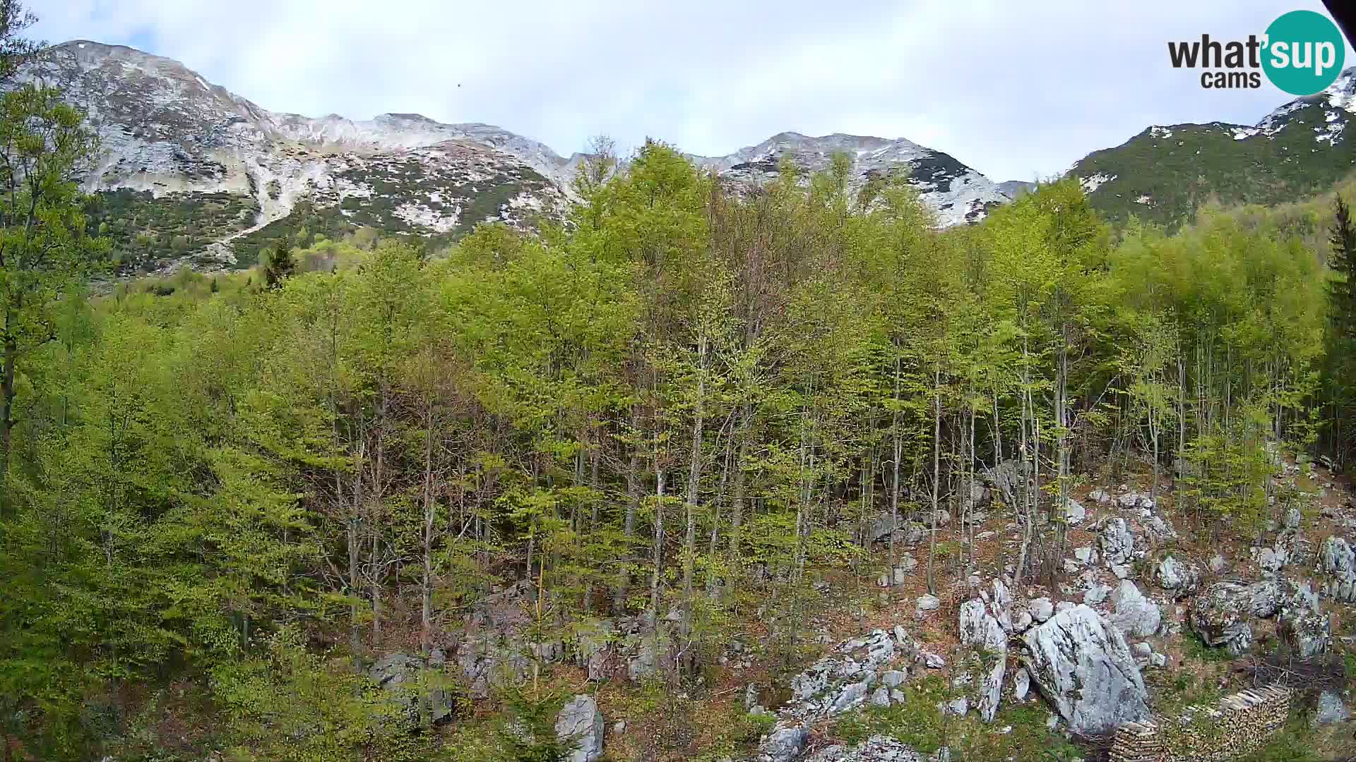 PLANINA RAZOR webcam (1315) | view to Vogel and Globoko