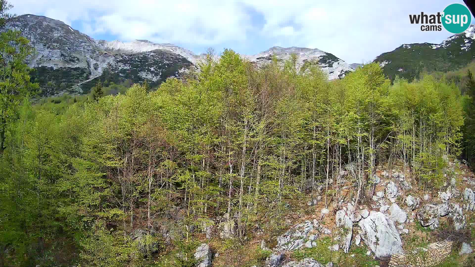 PLANINA RAZOR webcam (1315) | view to Vogel and Globoko