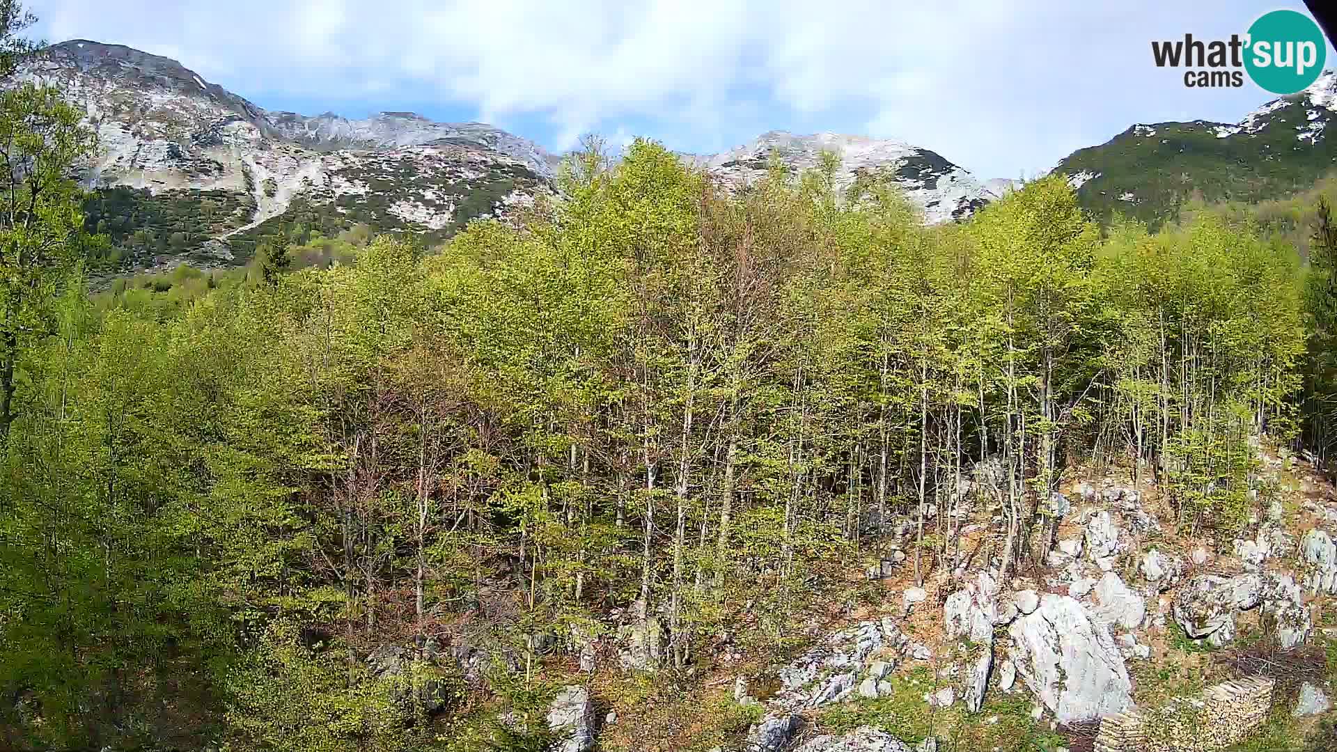 Cámara web PLANINA RAZOR (1315) | vista a Vogel y Globoko