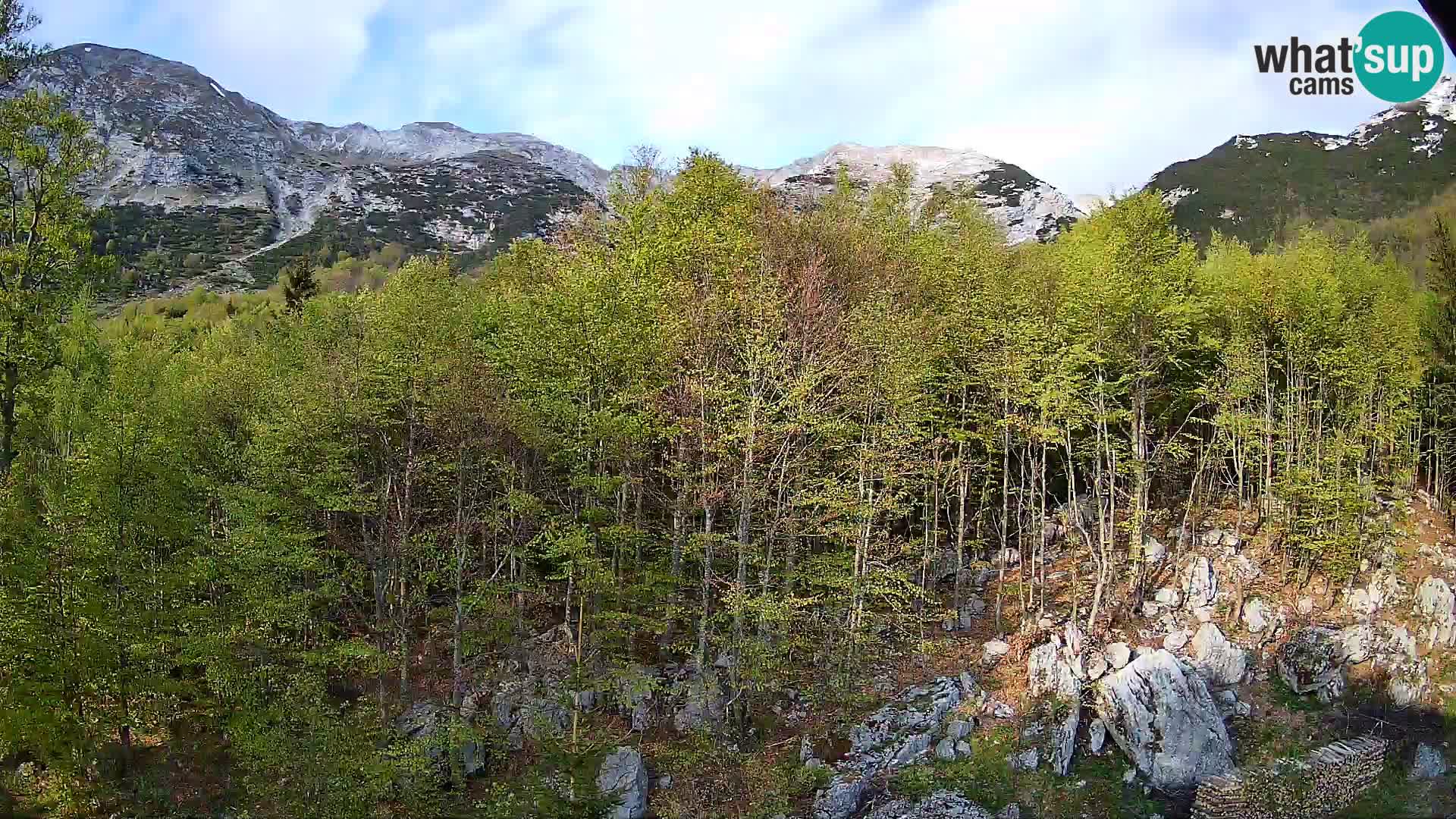 PLANINA RAZOR webcam (1315) | view to Vogel and Globoko