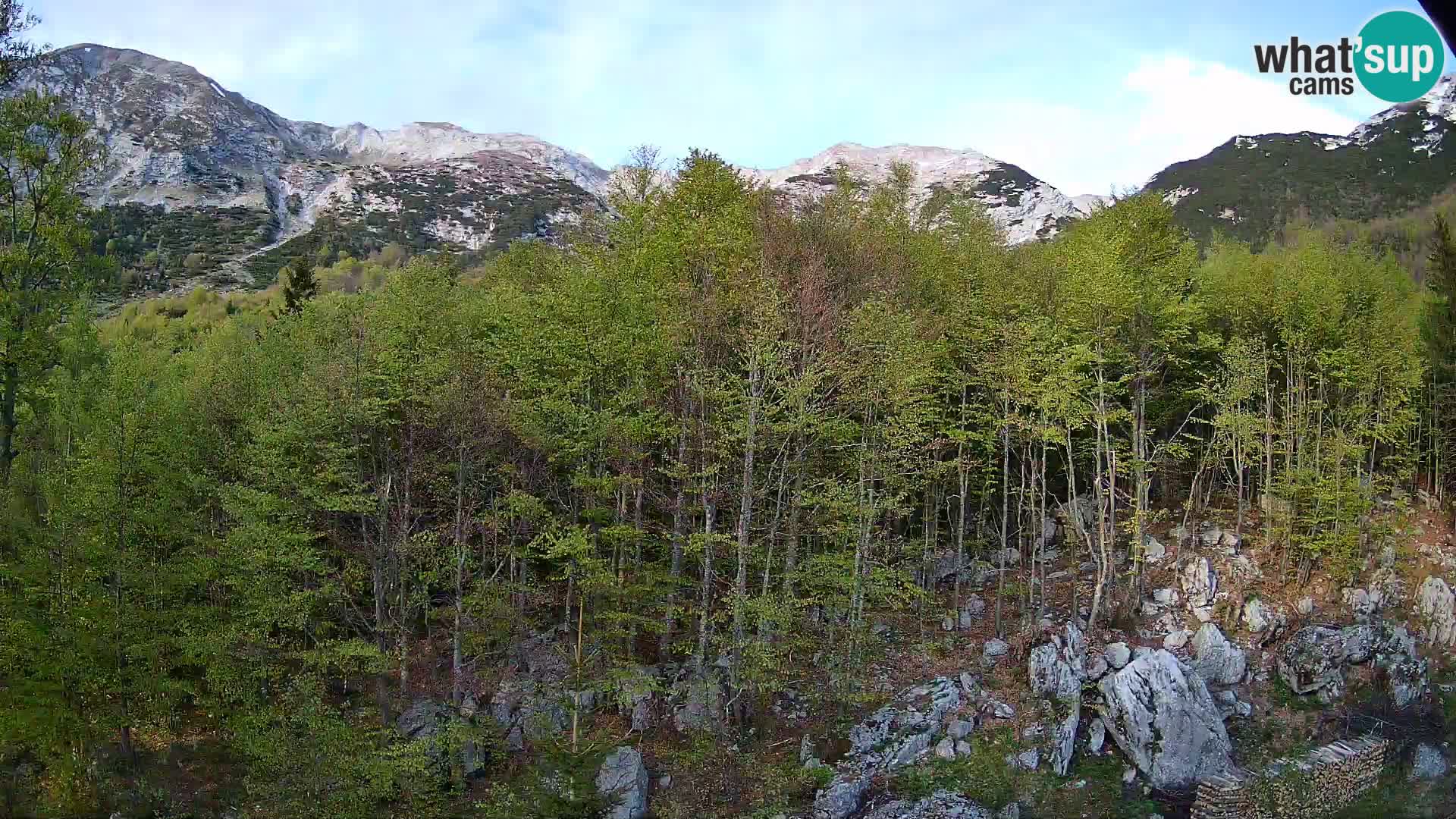 Livecam PLANINA RAZOR (1315) | vue sur Vogel et Globoko