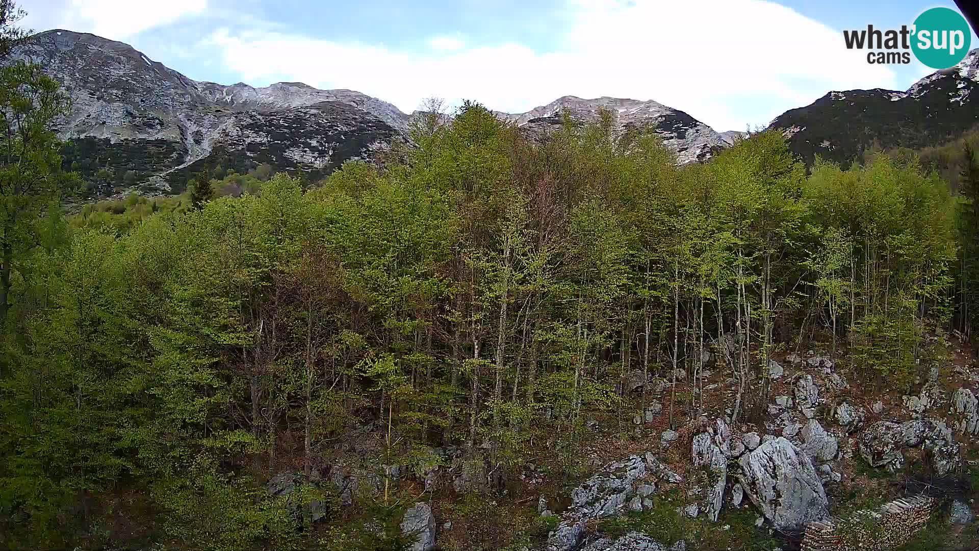 PLANINA RAZOR webcam (1315) | view to Vogel and Globoko