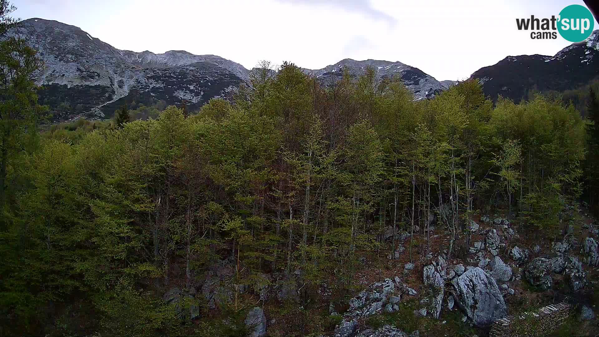 PLANINA RAZOR webcam (1315) | view to Vogel and Globoko