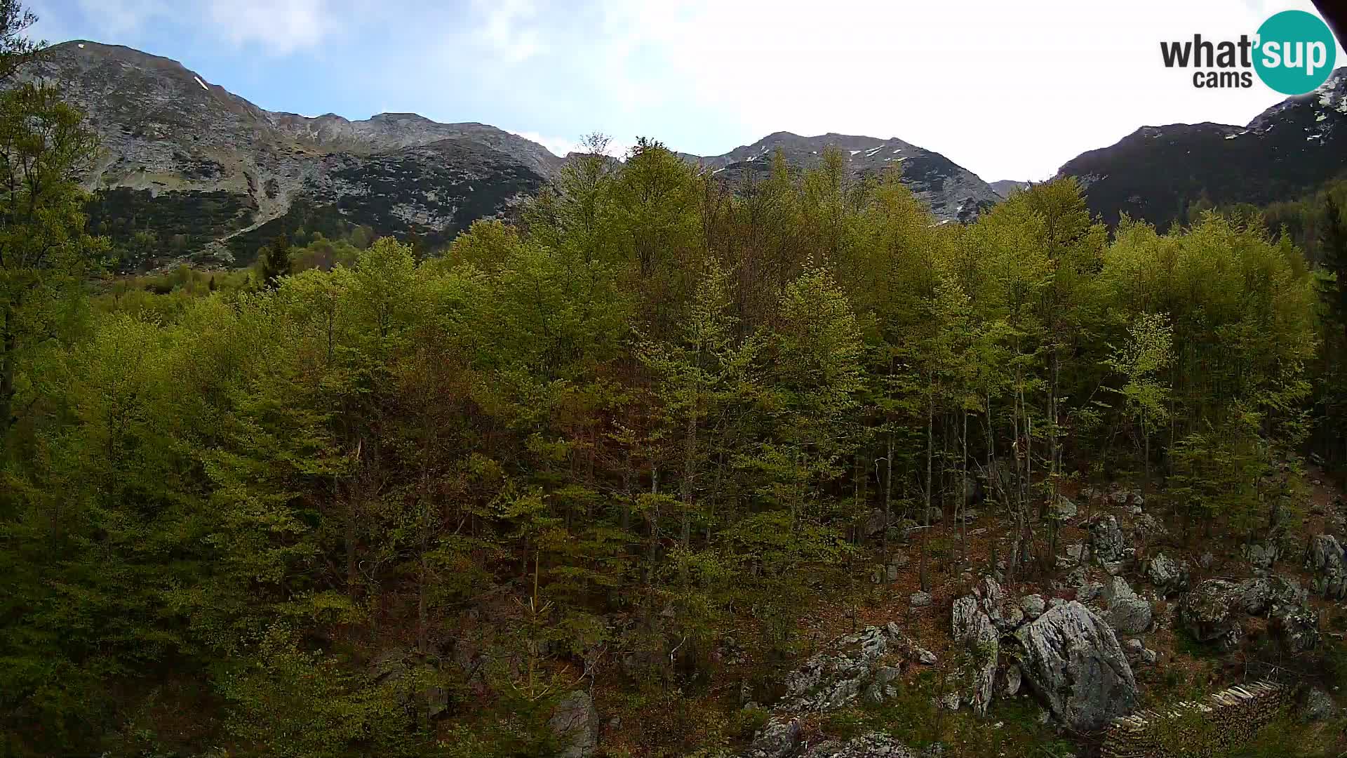 PLANINA RAZOR webcam (1315) | view to Vogel and Globoko