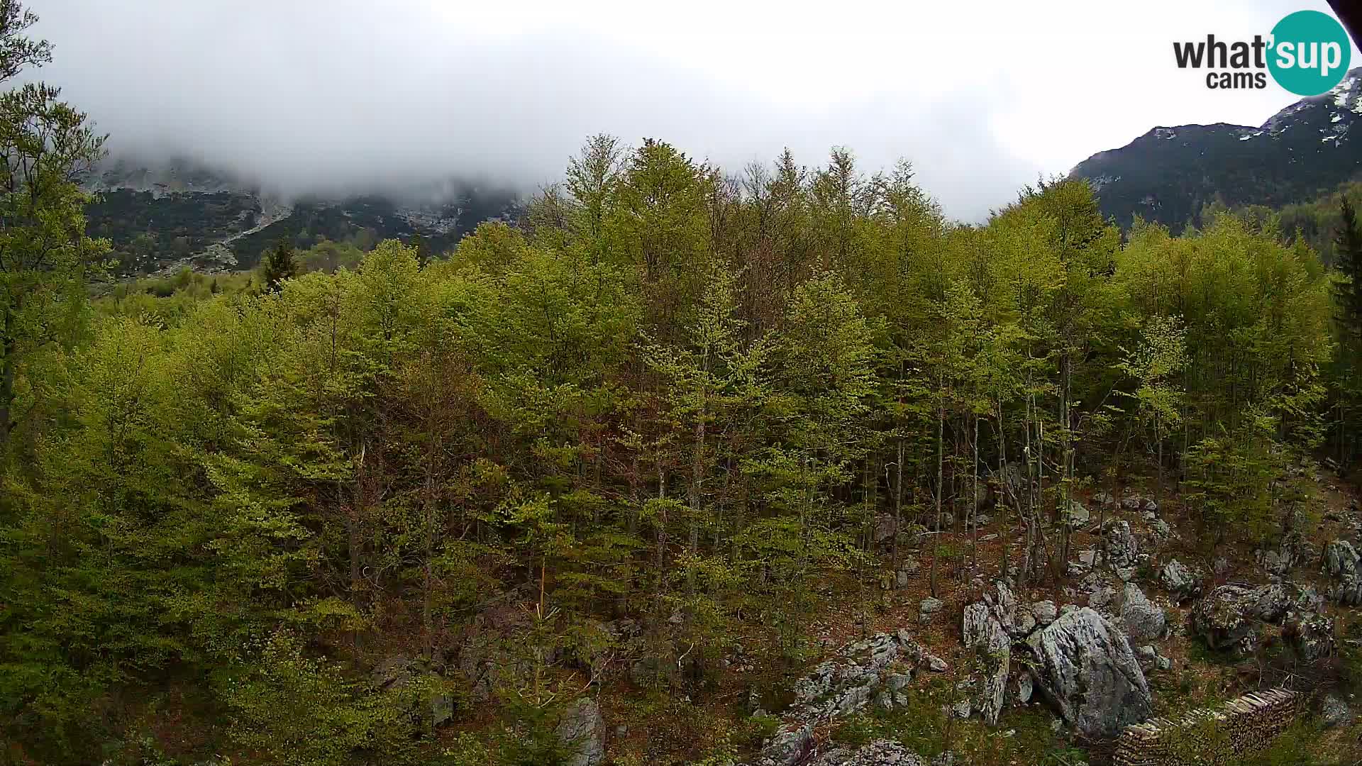 PLANINA RAZOR webcam (1315) | view to Vogel and Globoko