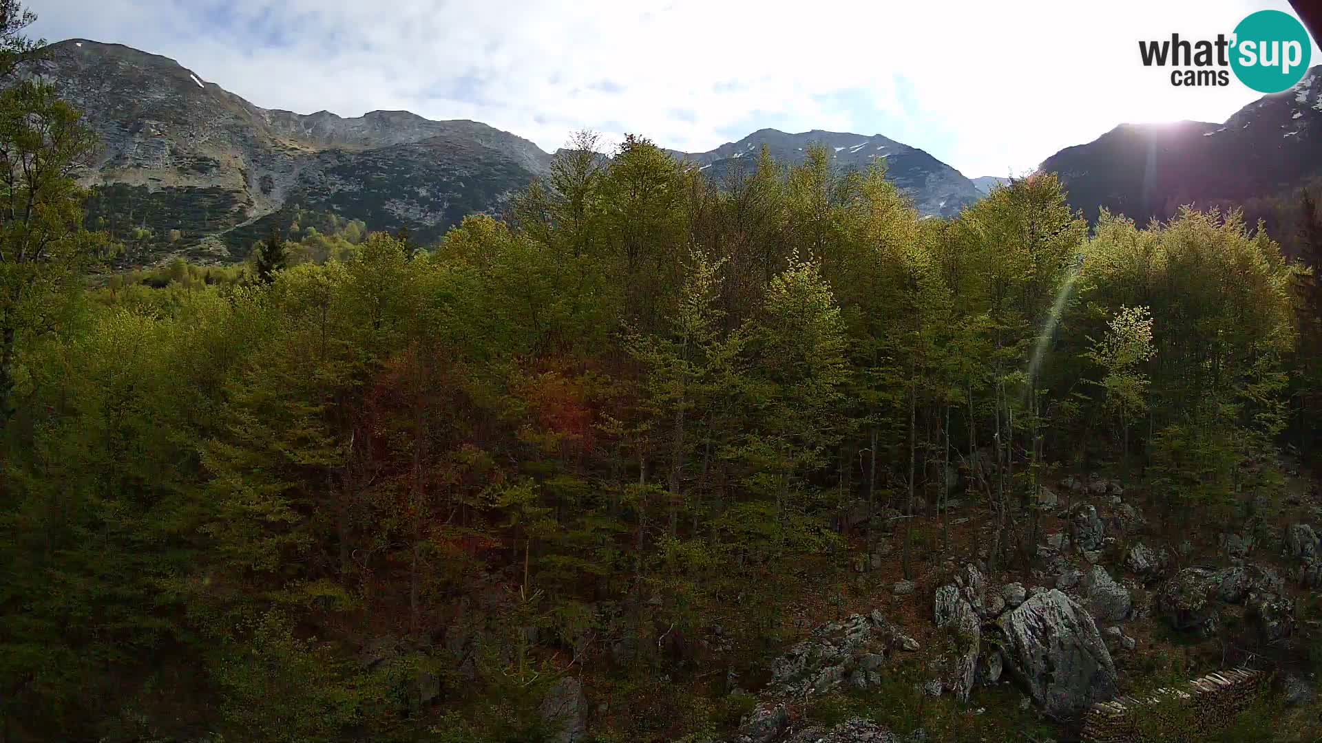PLANINA RAZOR Live Cam (1315) | vista su Vogel e Globoko