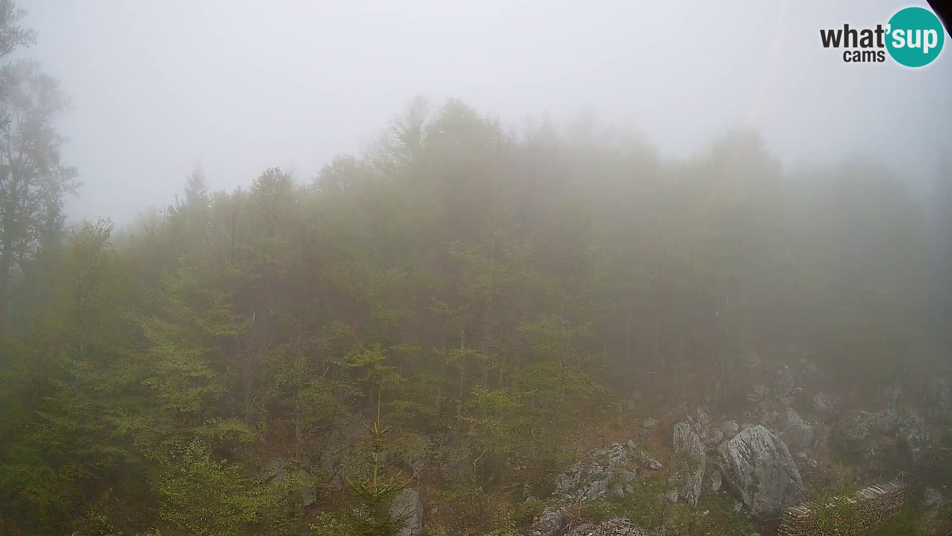 Livecam PLANINA RAZOR (1315) | vue sur Vogel et Globoko