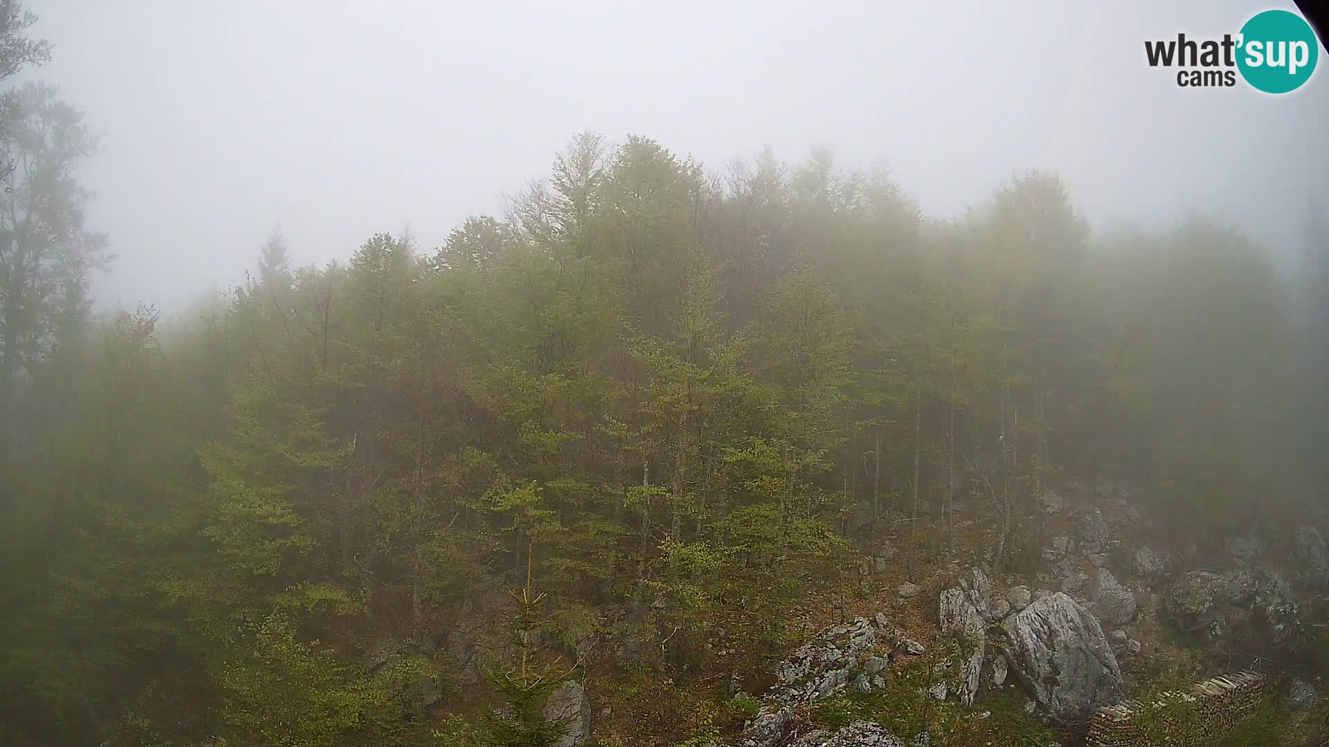 Webcam PLANINA RAZOR (1315) | Blick auf Vogel und Globoko