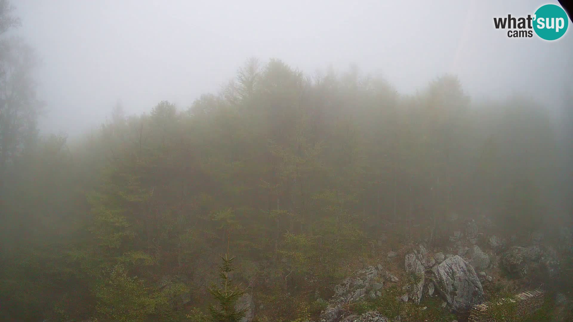 PLANINA RAZOR web kamera (1315) | pogled na Vogel i Globoko
