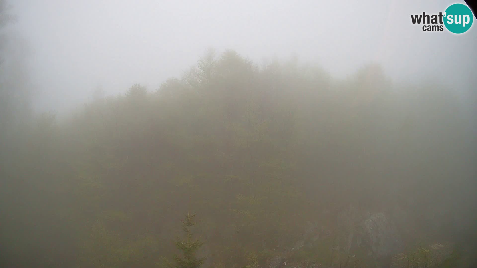 PLANINA RAZOR web kamera (1315) | pogled na Vogel i Globoko