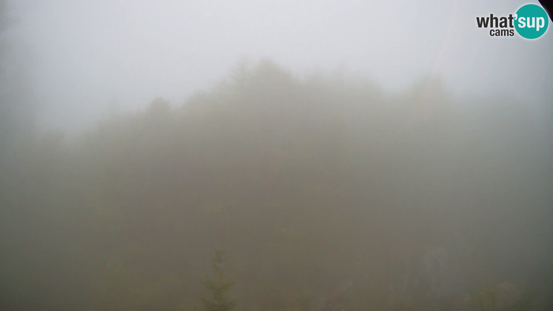 PLANINA RAZOR webcam (1315) | view to Vogel and Globoko