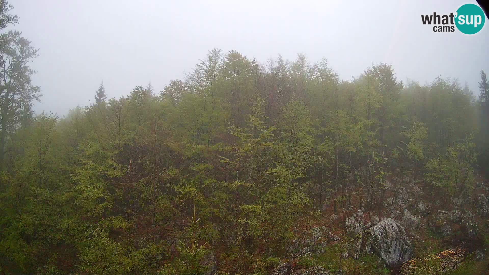 PLANINA RAZOR web kamera (1315) | pogled na Vogel i Globoko