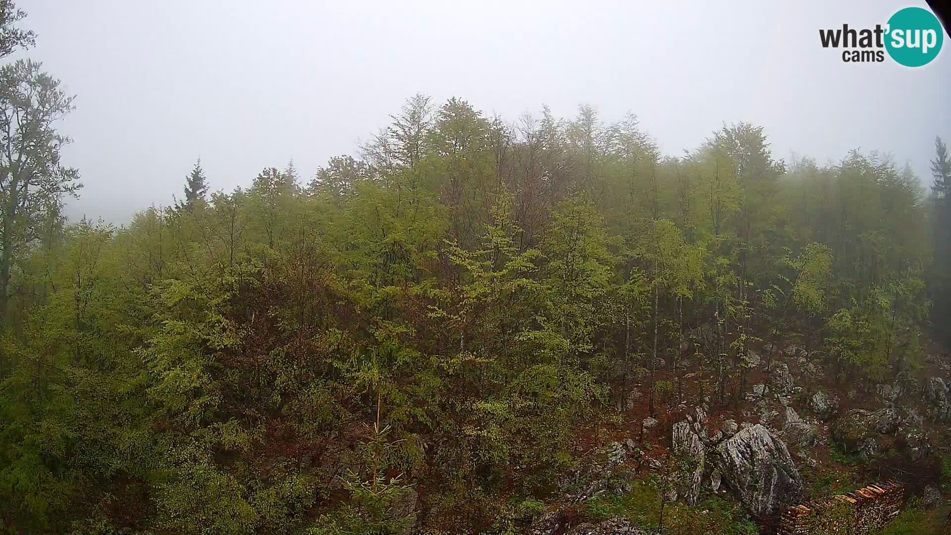 PLANINA RAZOR webcam (1315) | view to Vogel and Globoko