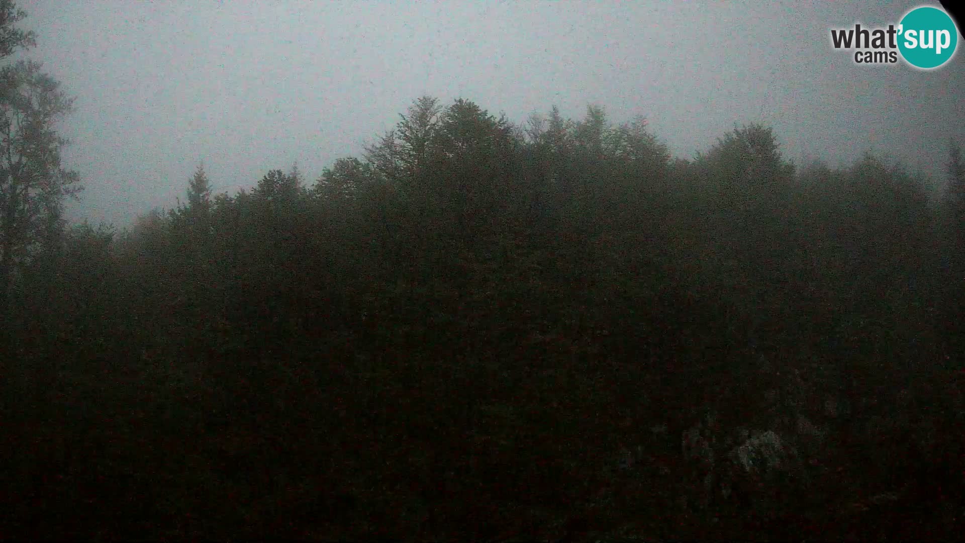 PLANINA RAZOR webcam (1315) | view to Vogel and Globoko