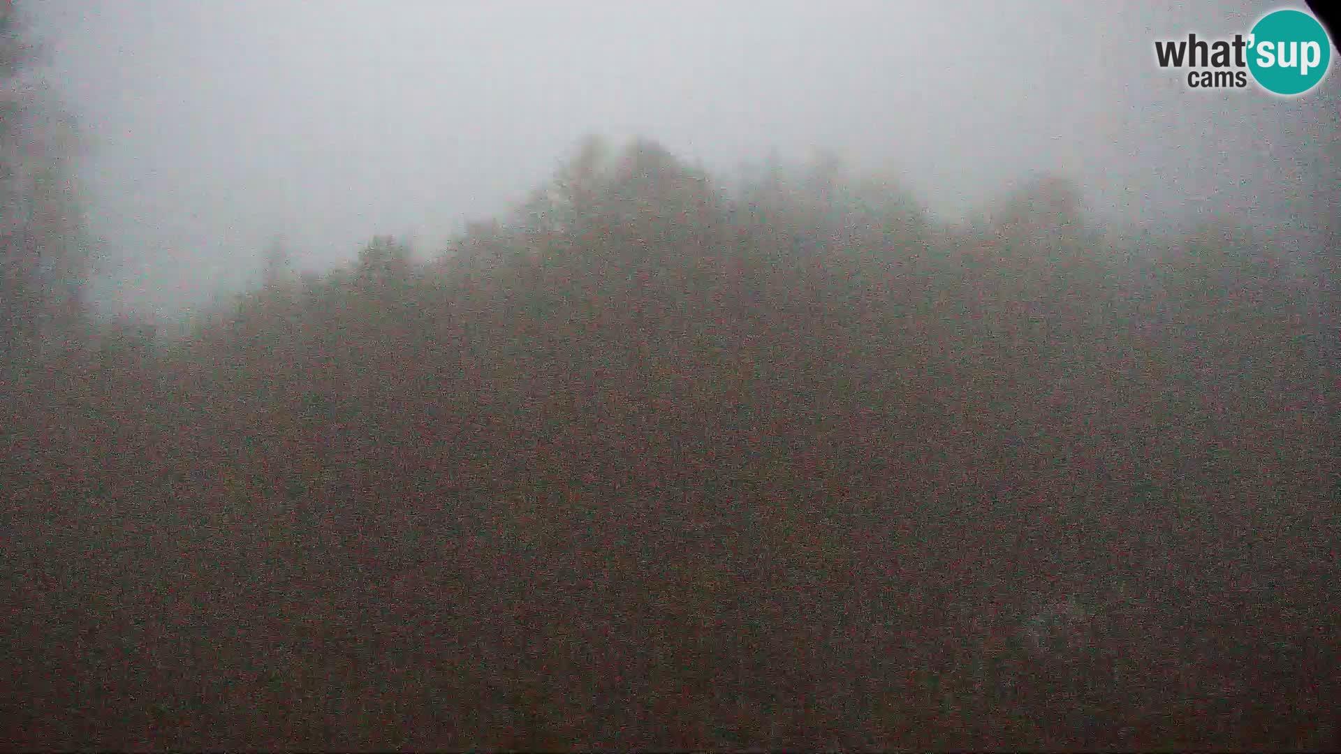 Webcam PLANINA RAZOR (1315) | Blick auf Vogel und Globoko