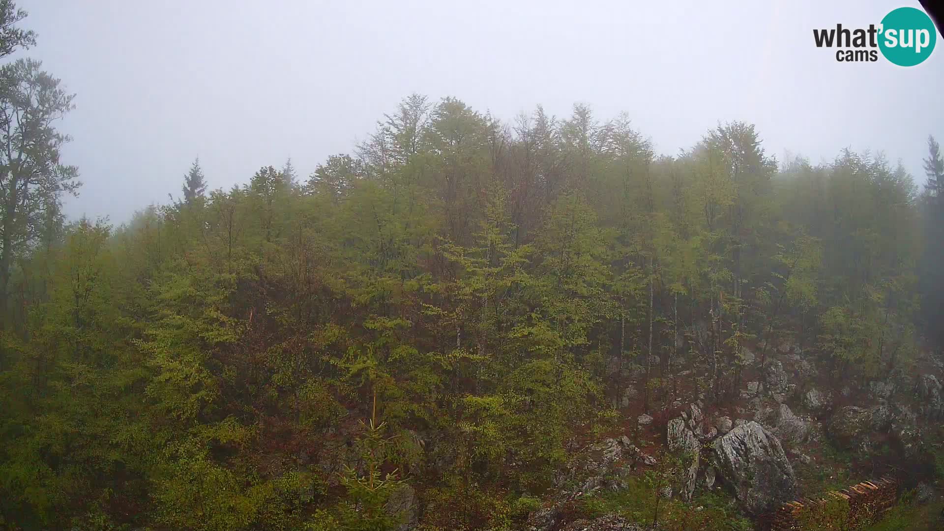 Livecam PLANINA RAZOR (1315) | vue sur Vogel et Globoko