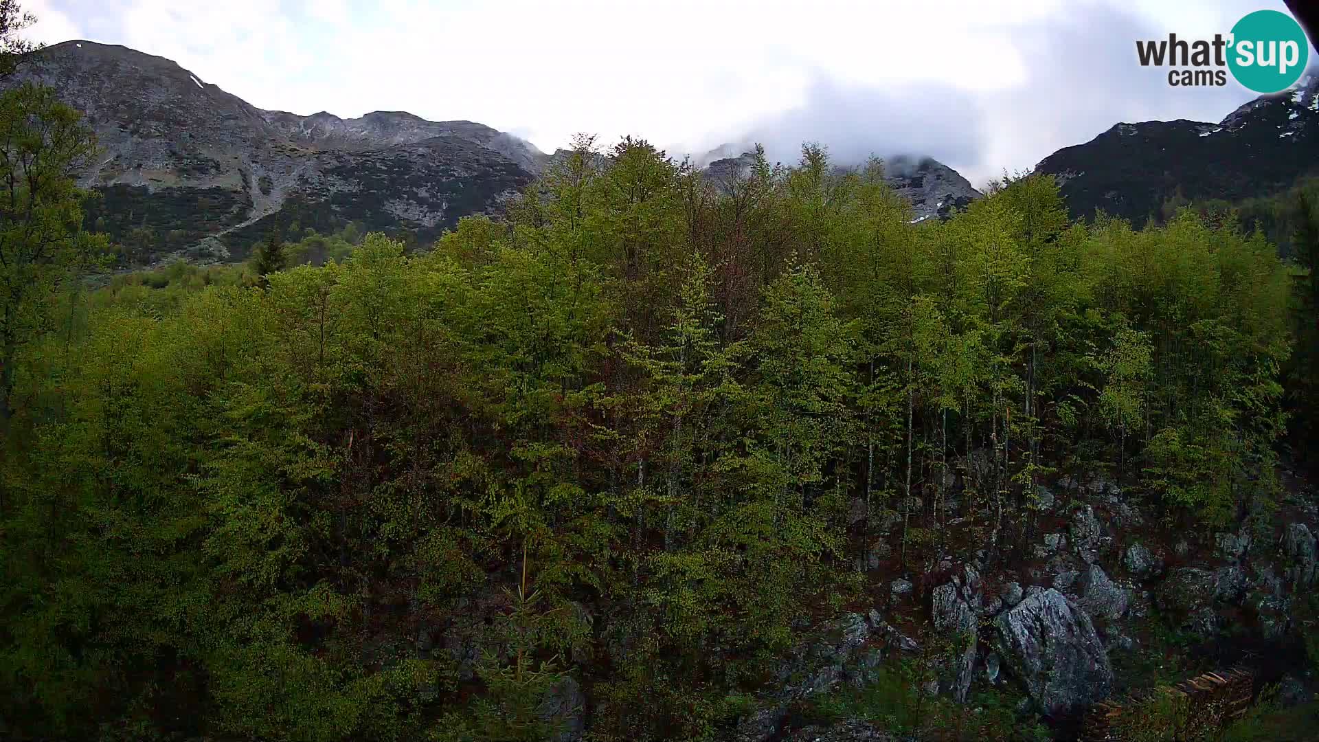 PLANINA RAZOR kamera (1315) | pogled na Vogel in Globoko